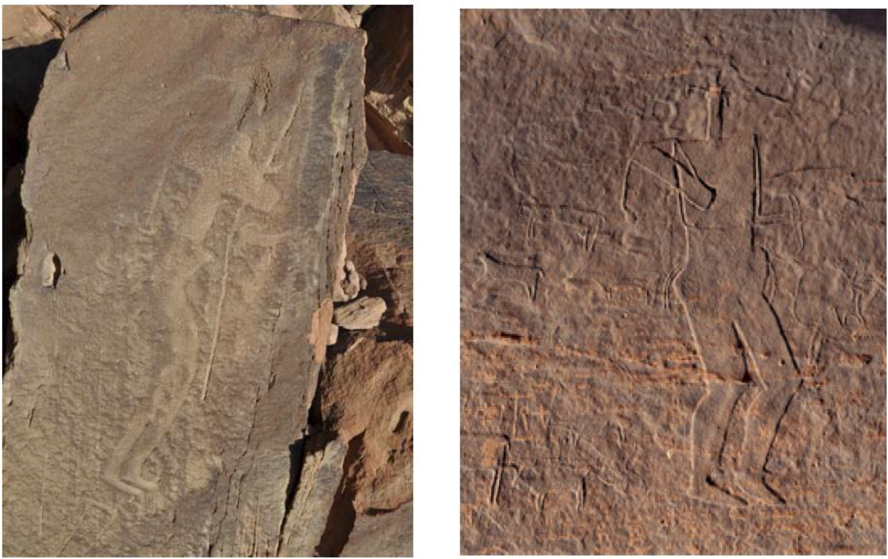 Arts 02 00447 g007 1024