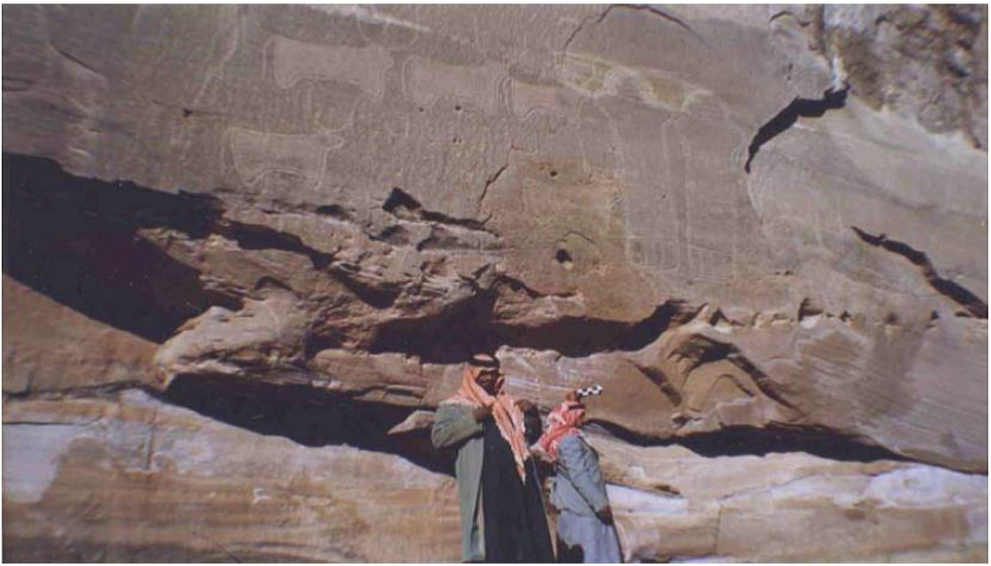 Arts 02 00447 g012 1024