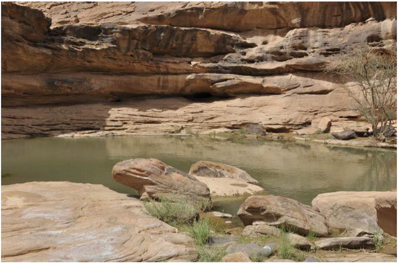 Arts 02 00447 g014 1024