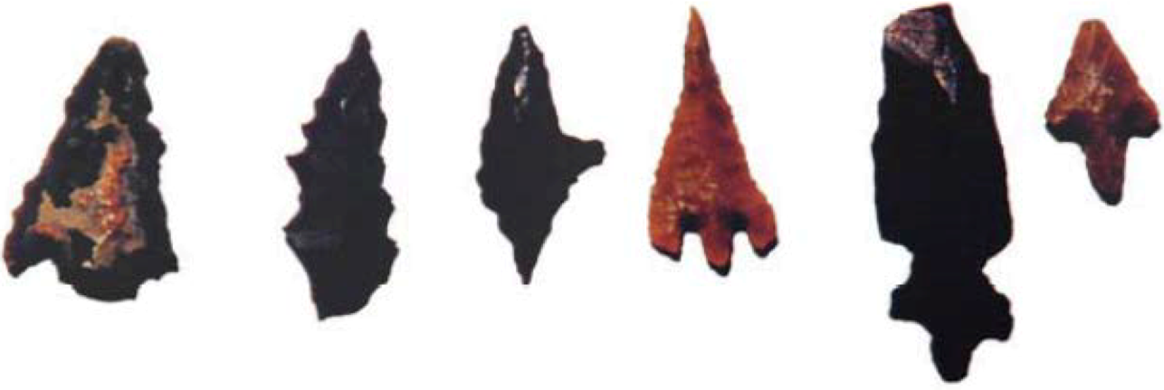 Arts 02 00447 g021 1024