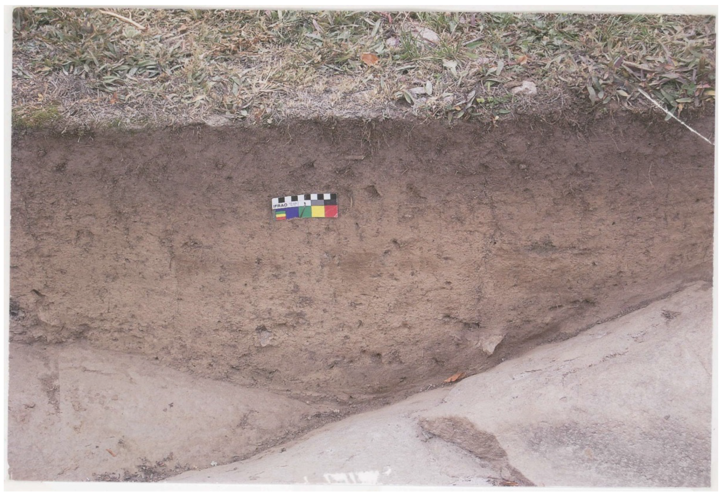 Arts 03 00027 g006 1024