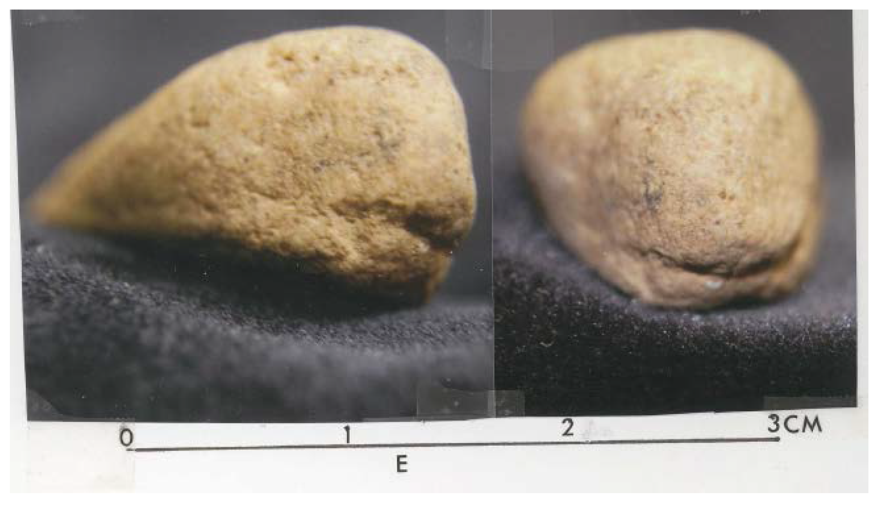 Arts 03 00027 g011b 1024