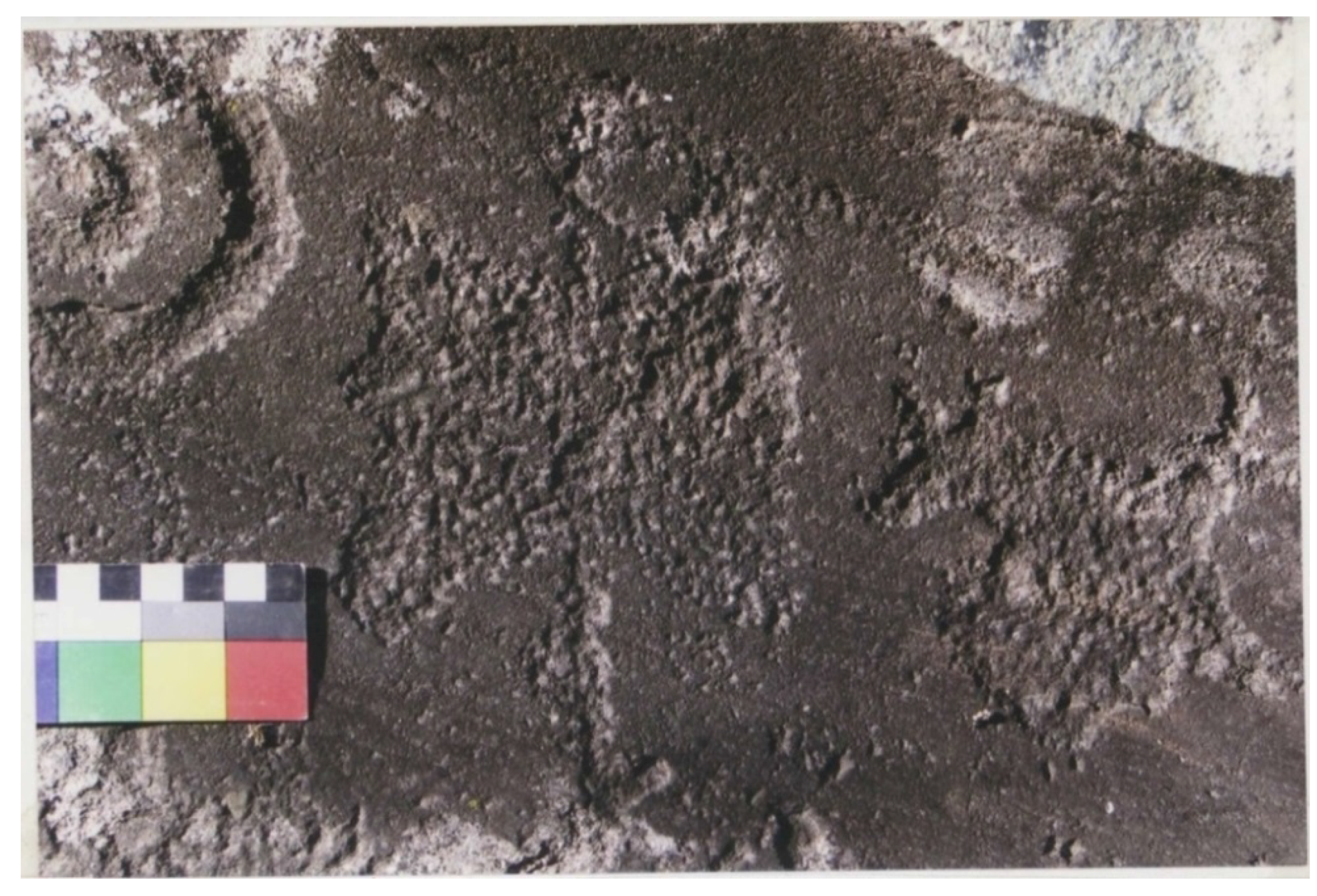 Arts 03 00027 g013 1024