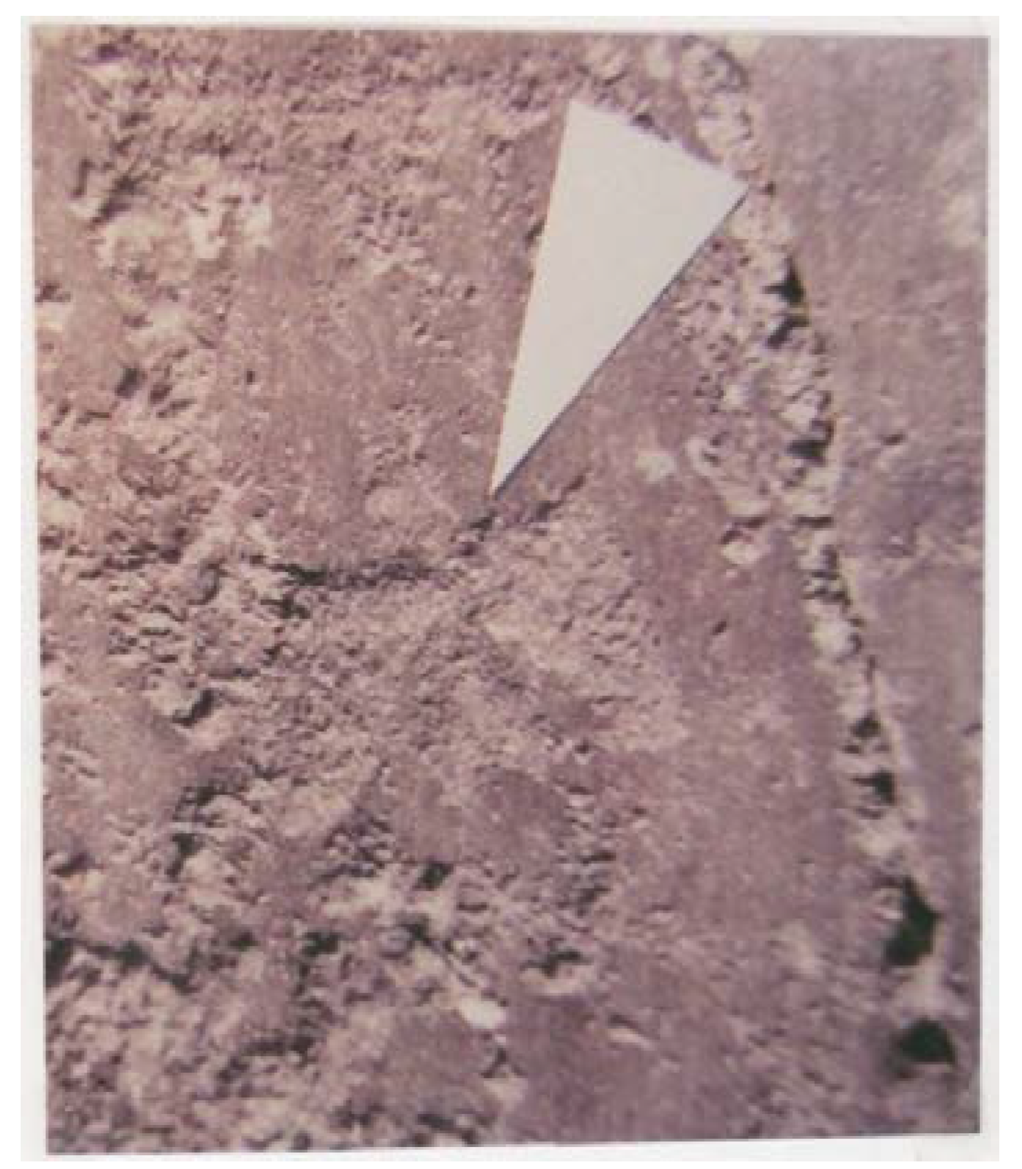 Arts 03 00027 g016 1024