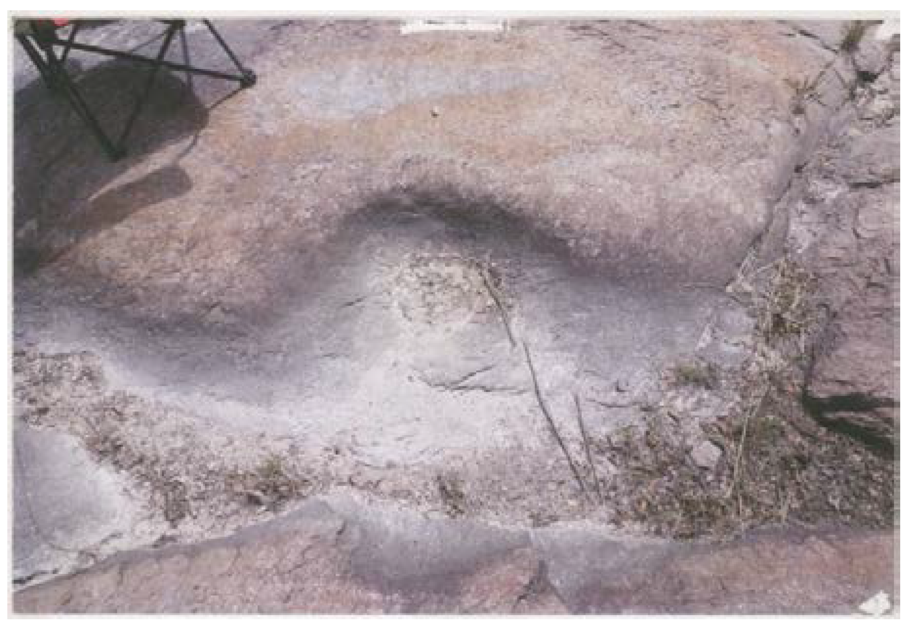 Arts 03 00027 g021 1024