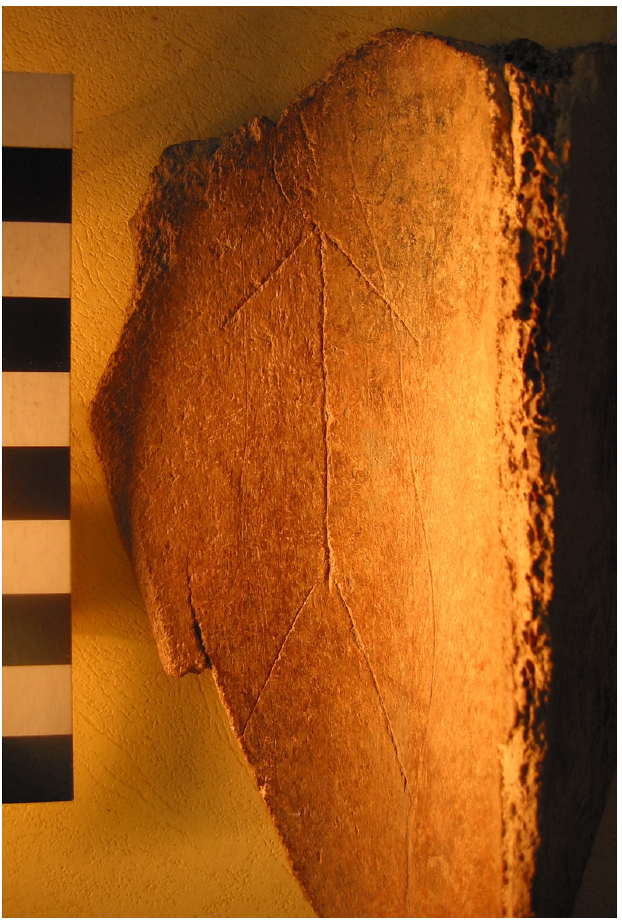 Arts 03 00245 g007 550