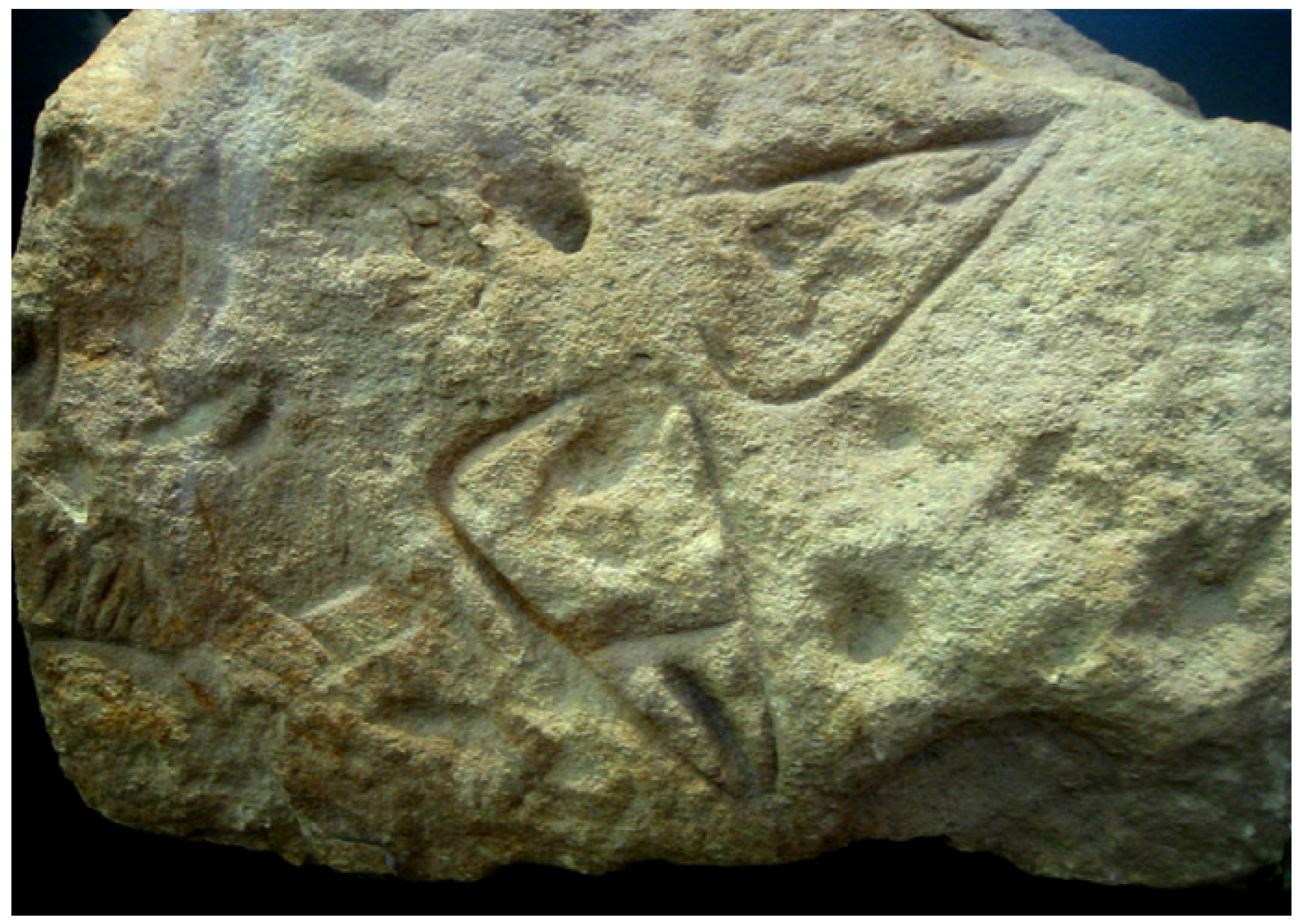 Arts 03 00245 g012 550