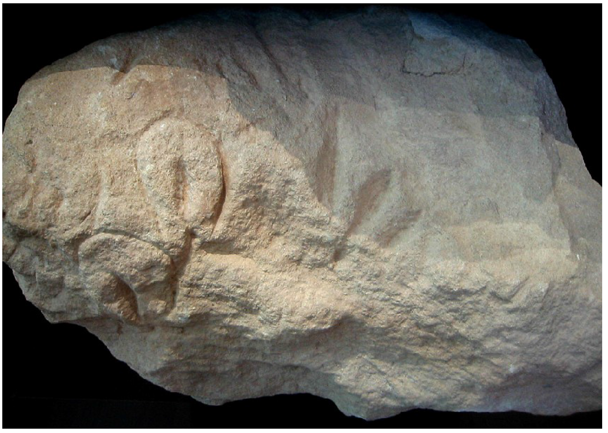 Arts 03 00245 g013 550