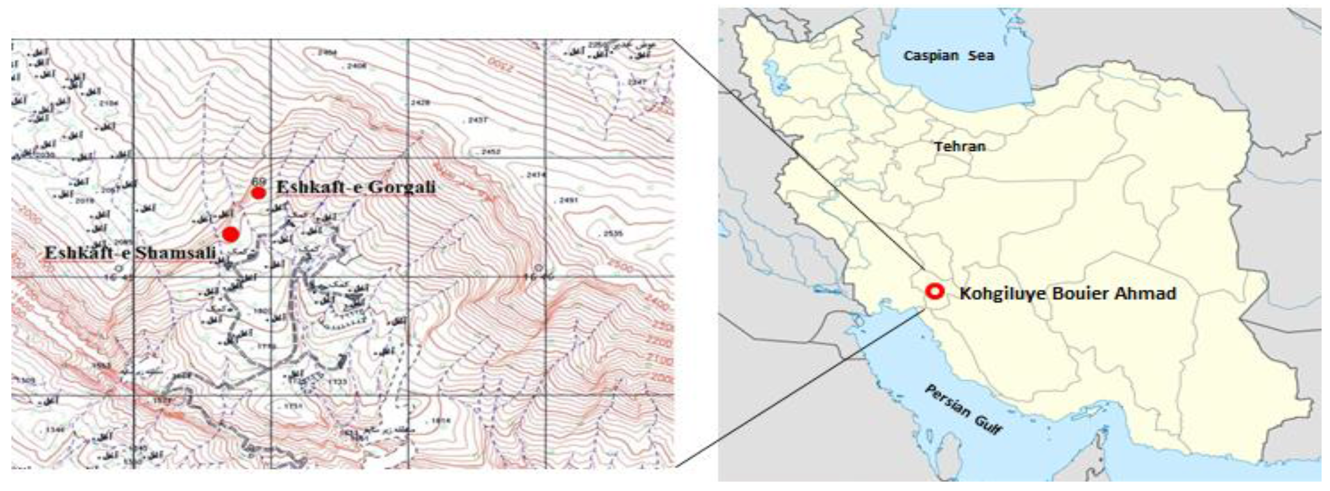 Arts 04 00061 g001 1024