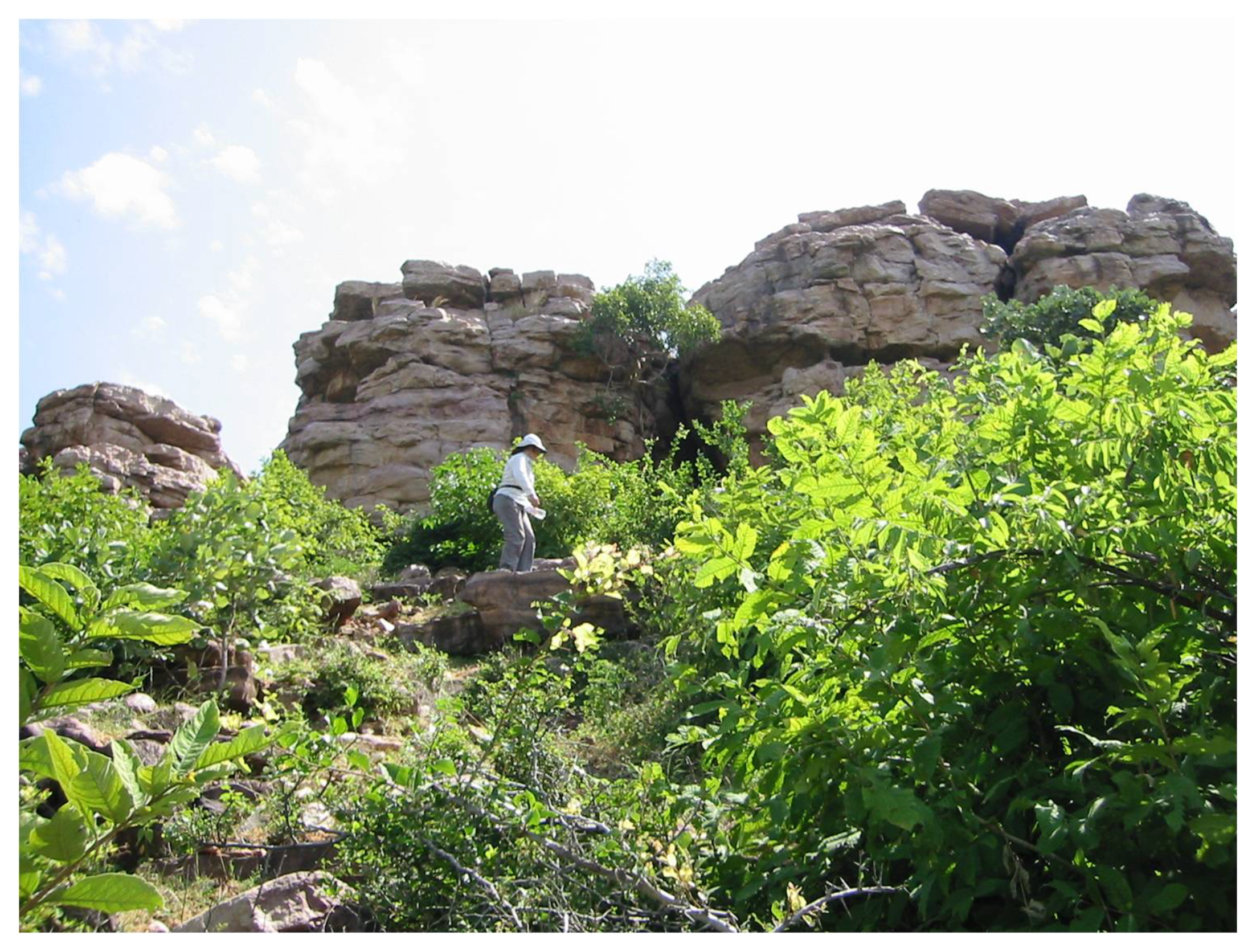 Arts 04 00101 g001 1024