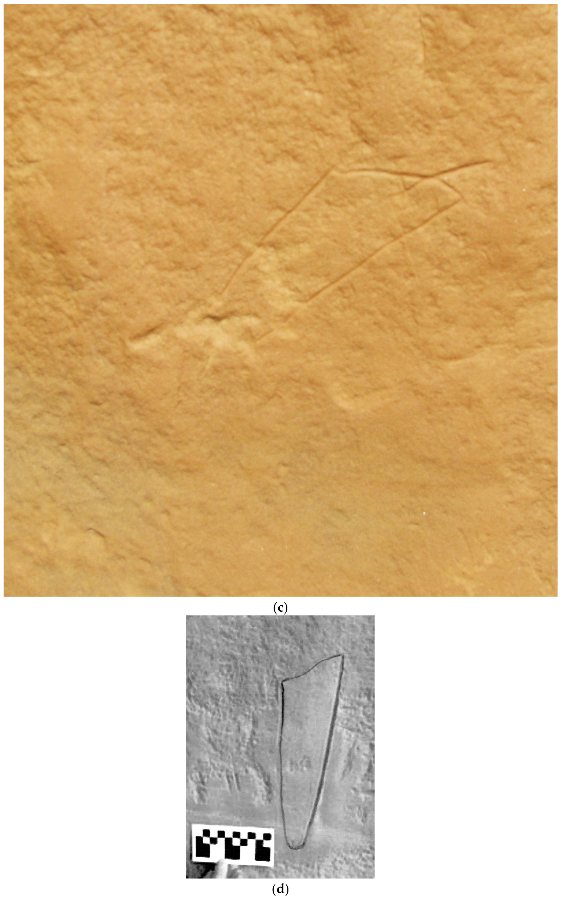 Arts 05 00007 g006b 550