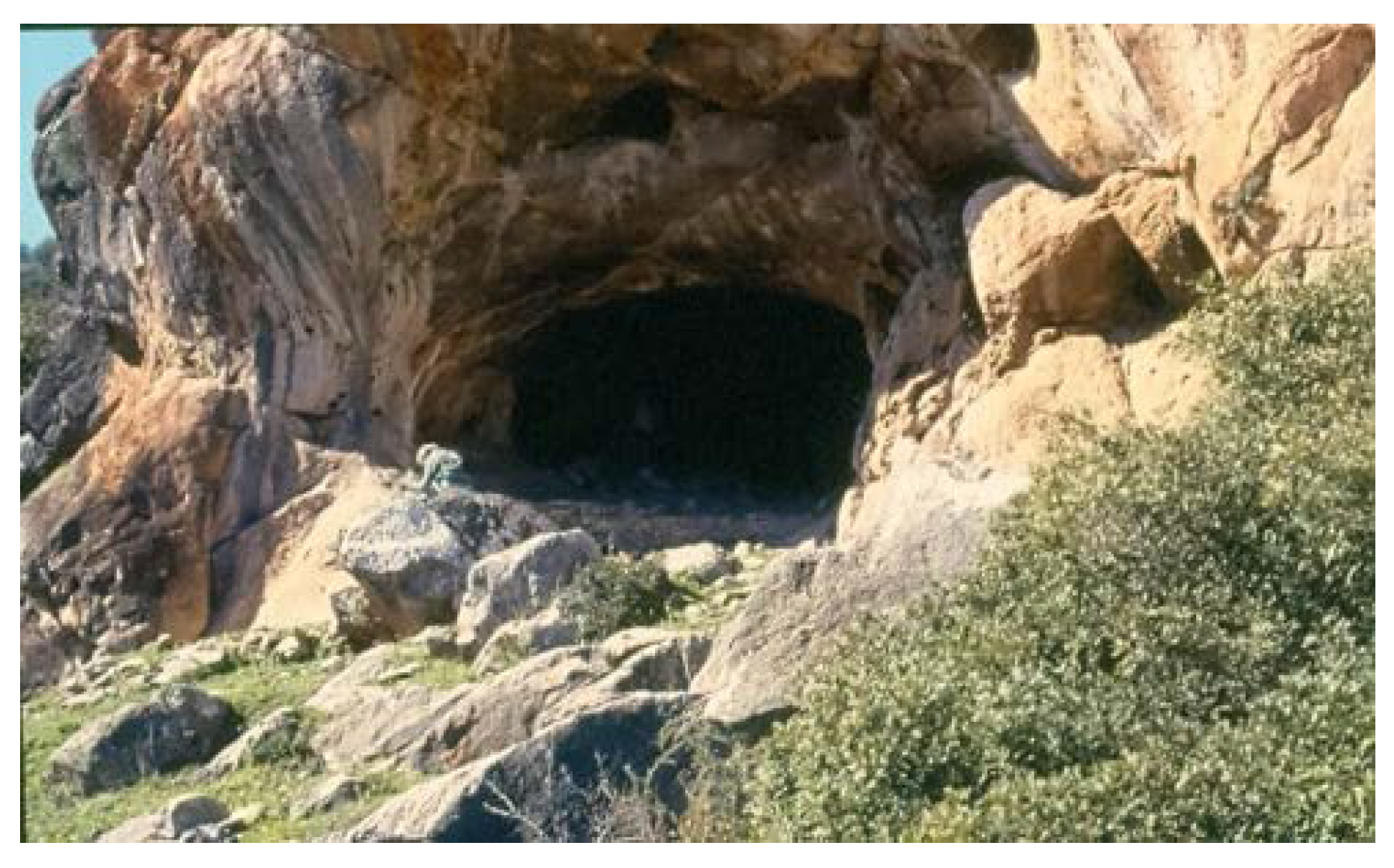 Arts 06 00009 g002 550