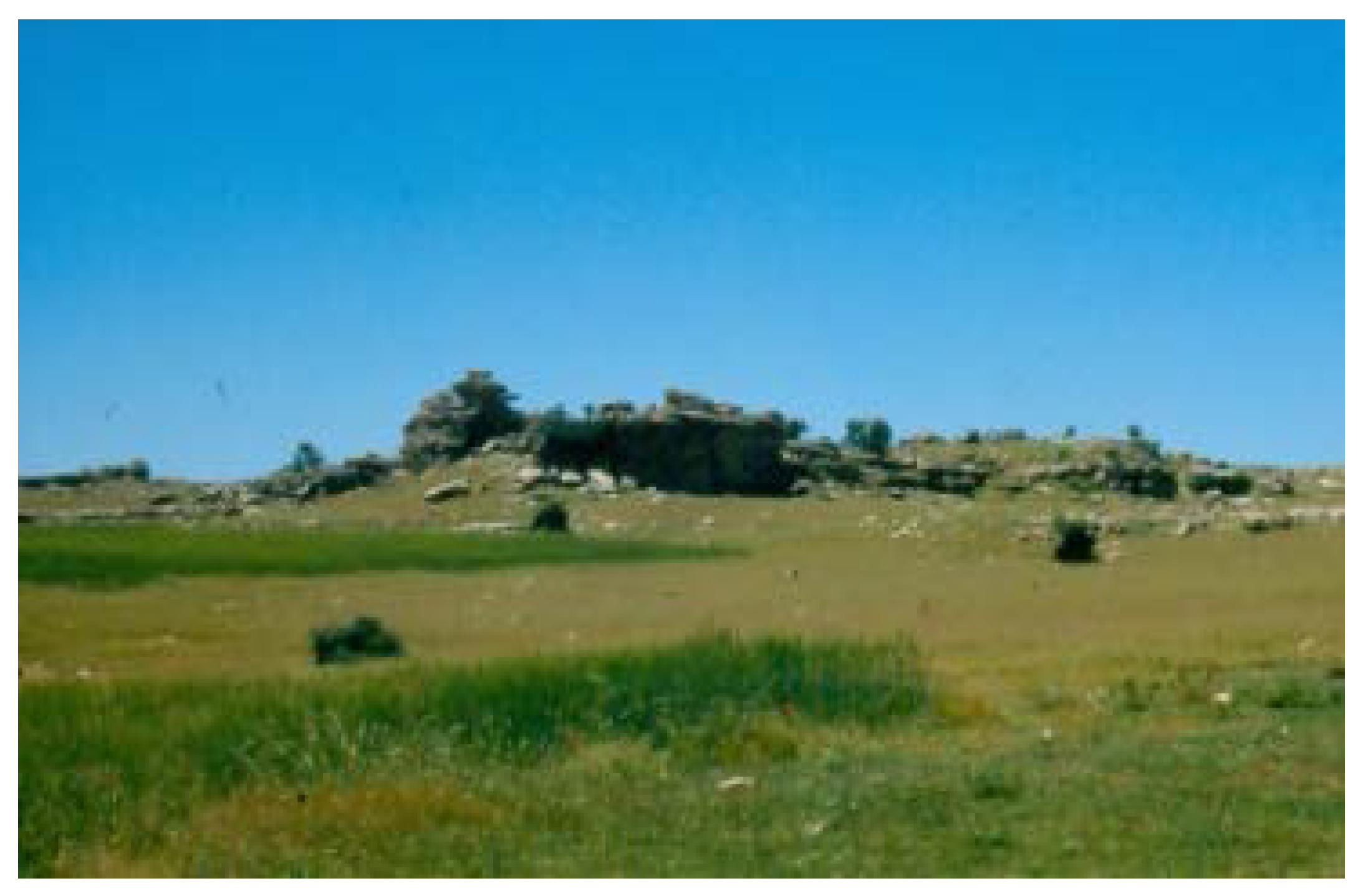 Arts 06 00009 g004 550