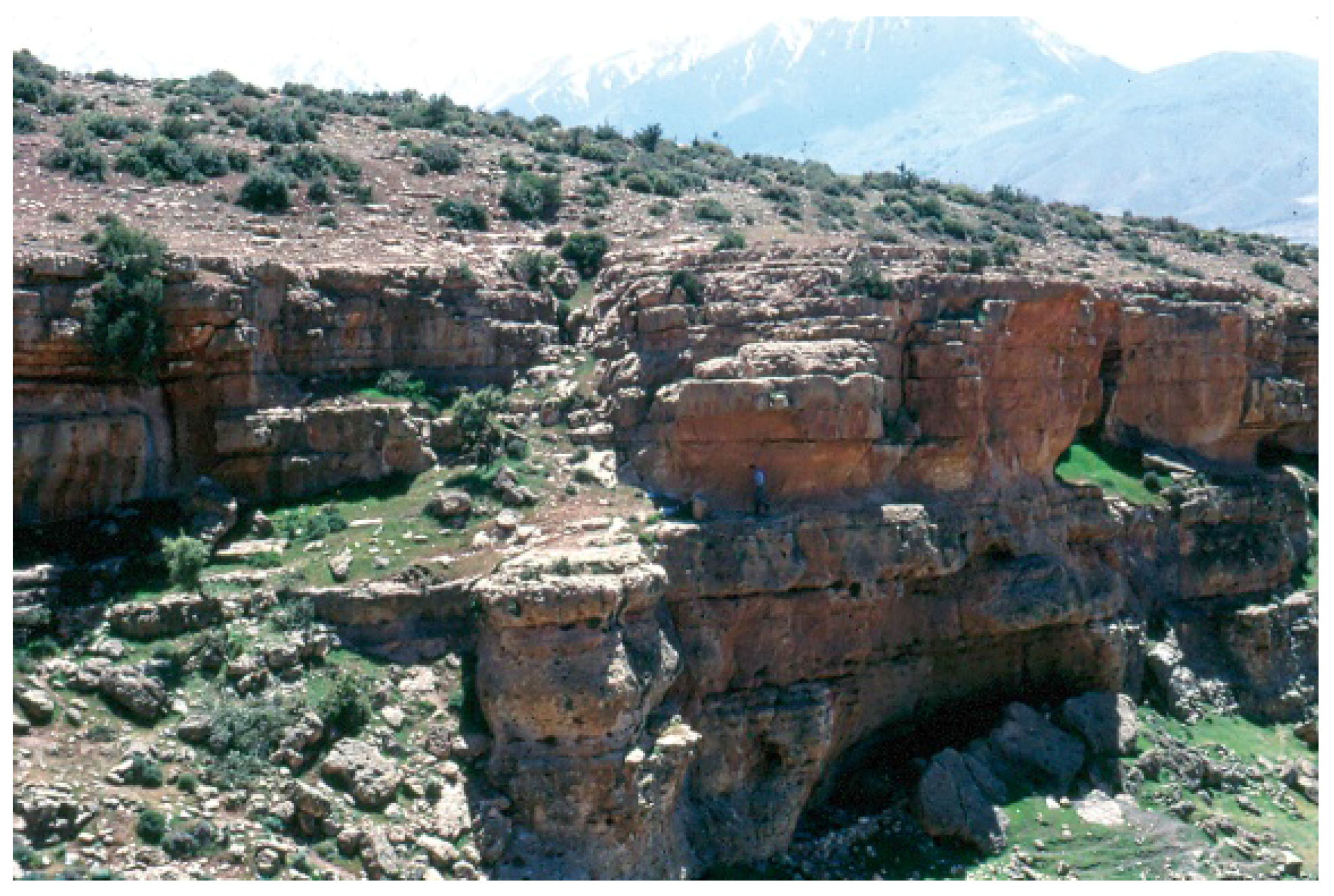 Arts 06 00009 g006 550