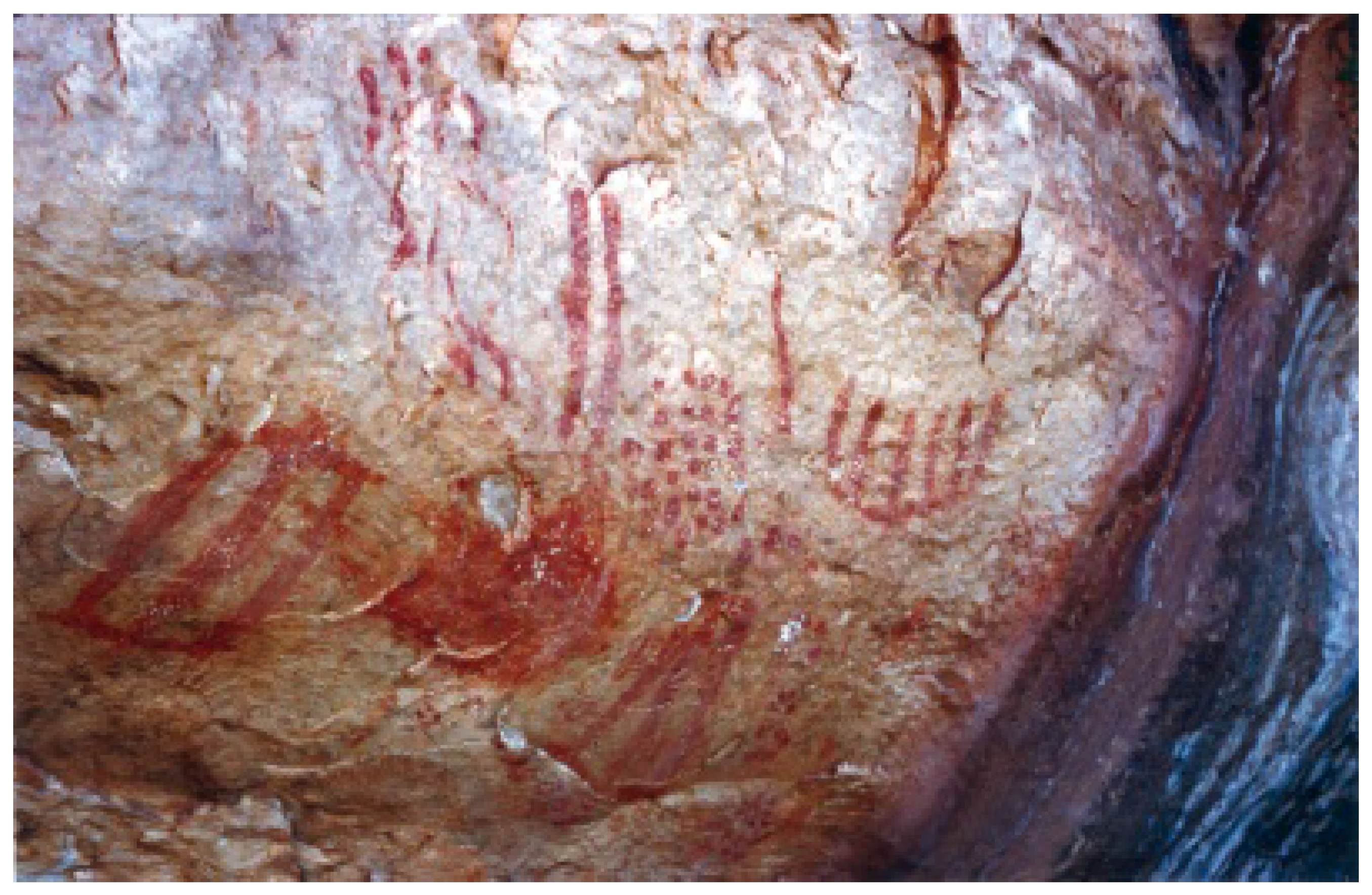 Arts 06 00009 g007 550