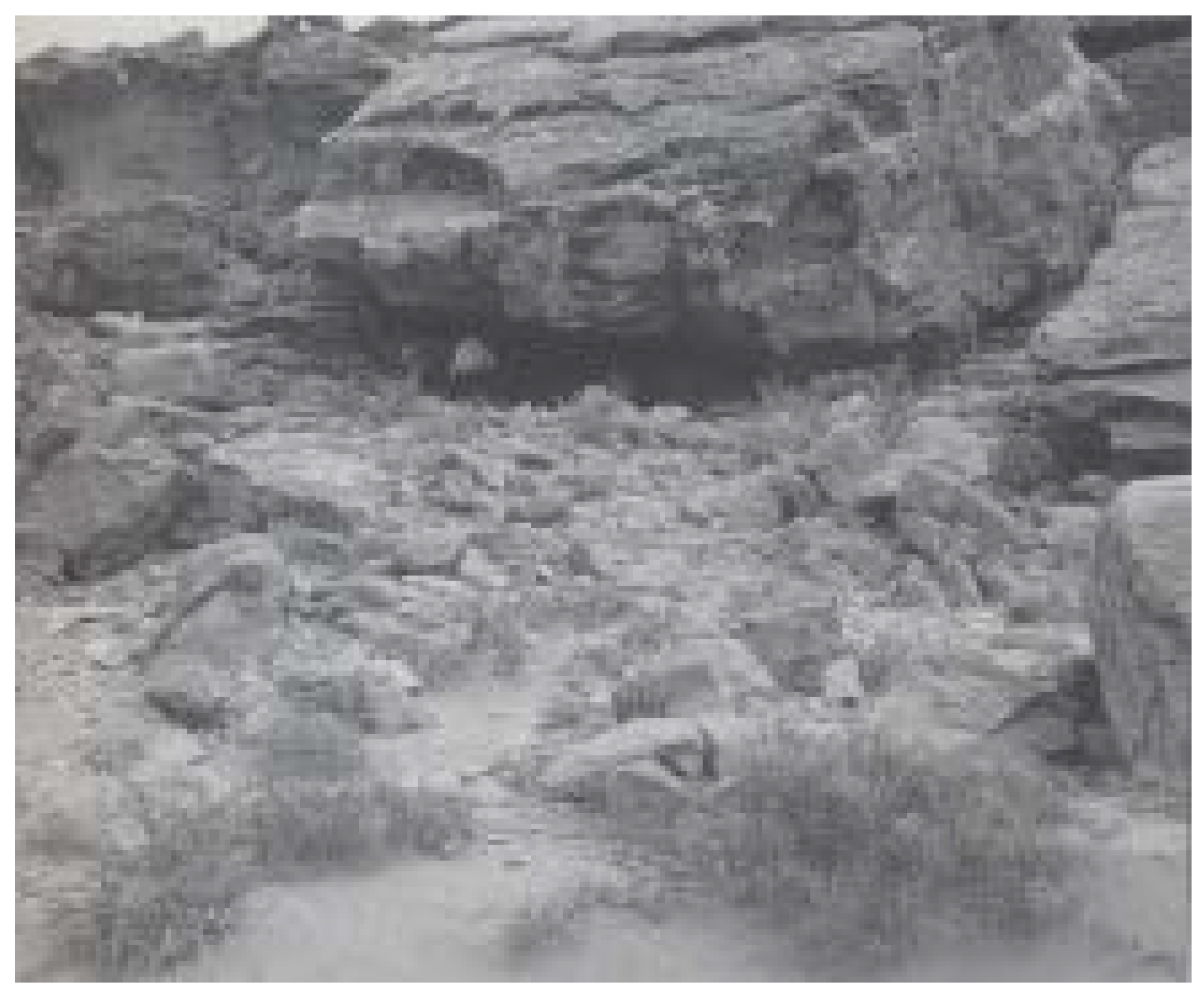 Arts 06 00009 g010 550