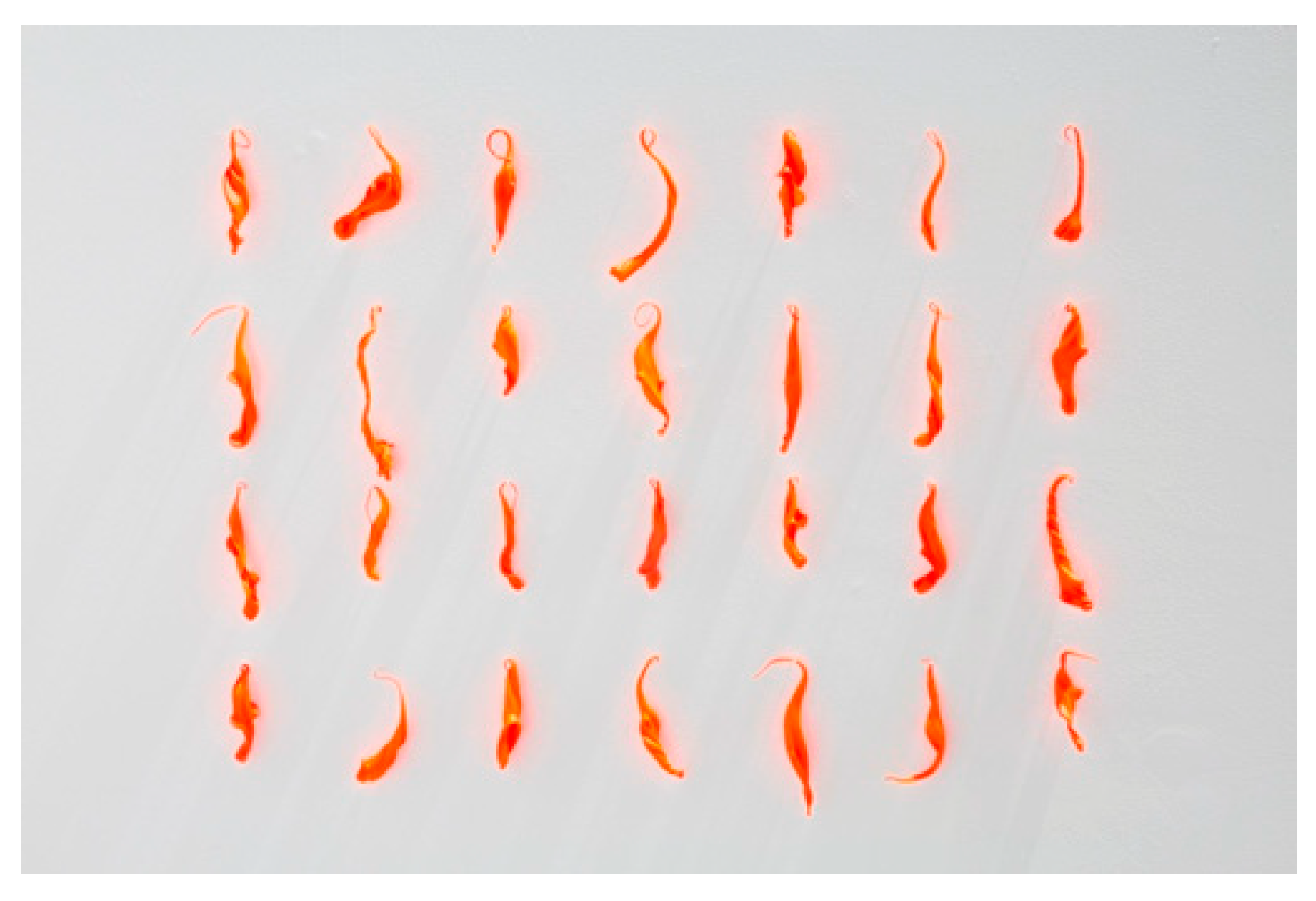 Arts 08 00012 g003 550