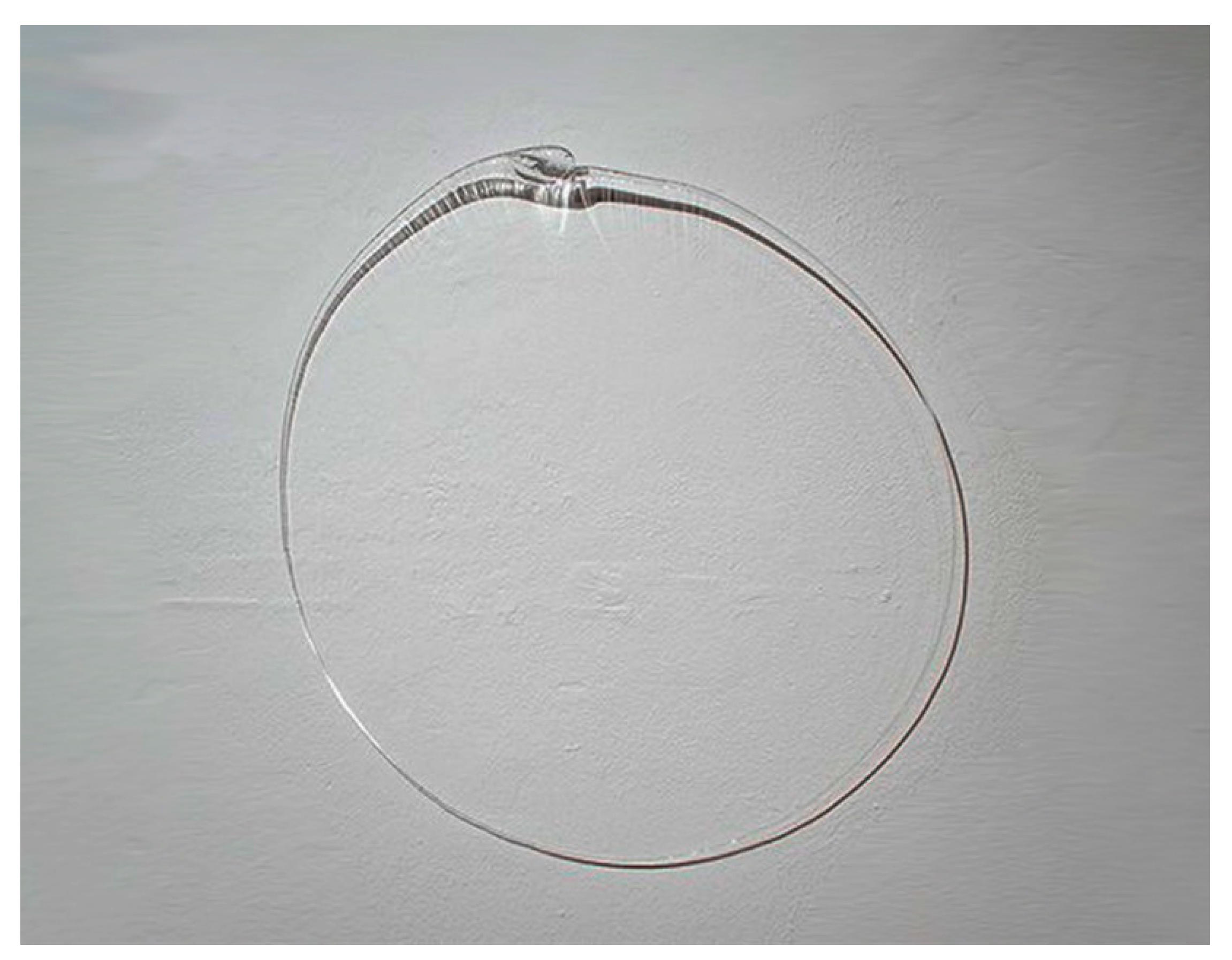 Arts 08 00012 g005 550