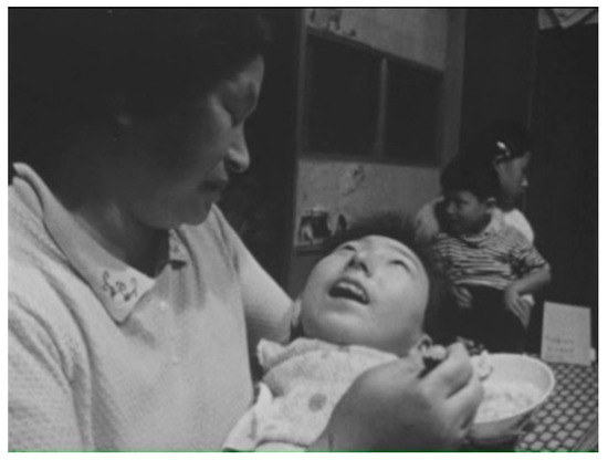 The Ethics of Representation in Light of Minamata Disease