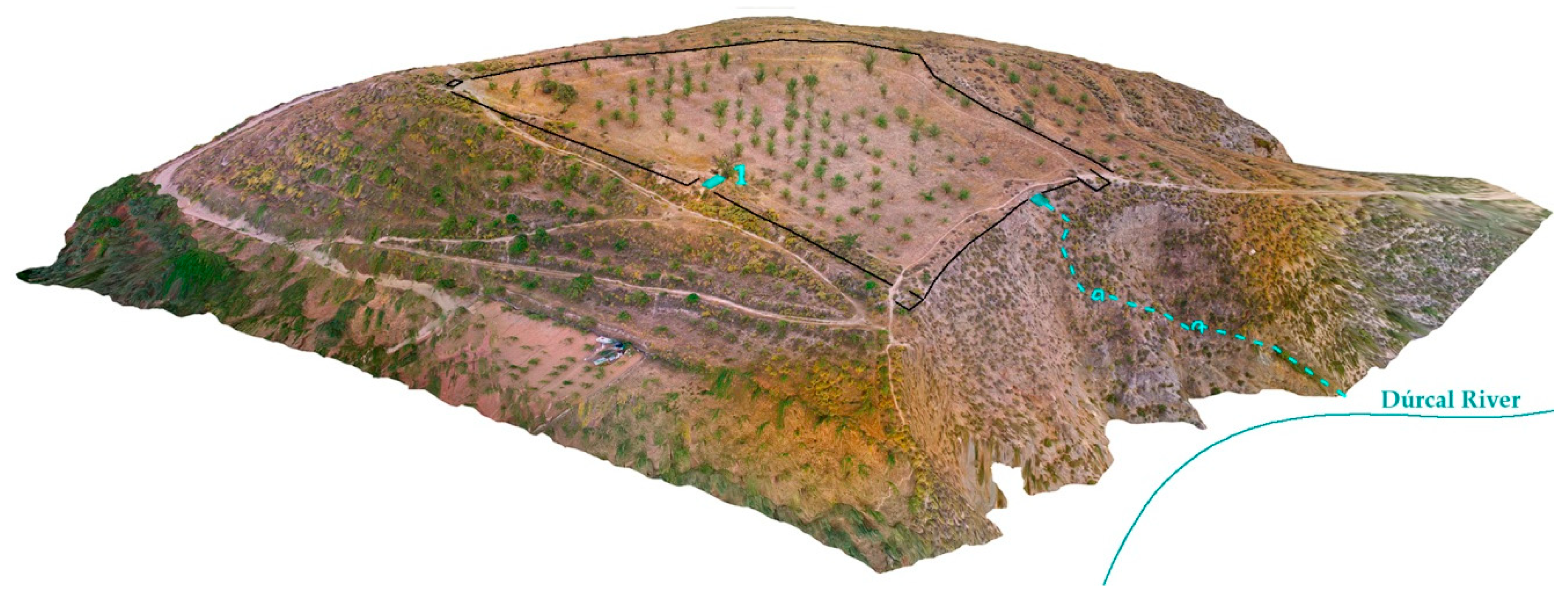 Arts 08 00063 g010 550