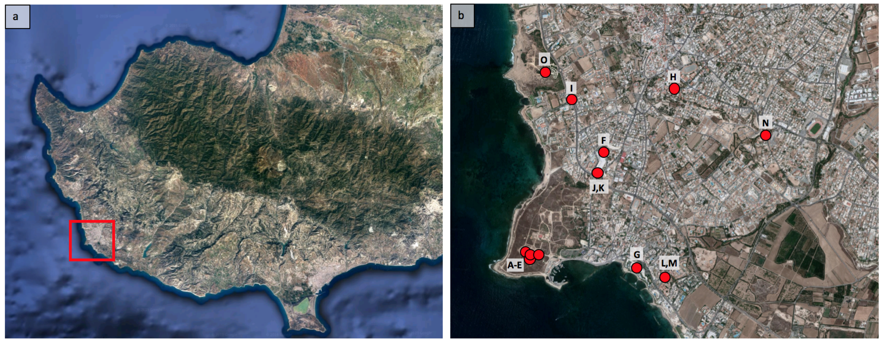 Arts 08 00074 g003 550