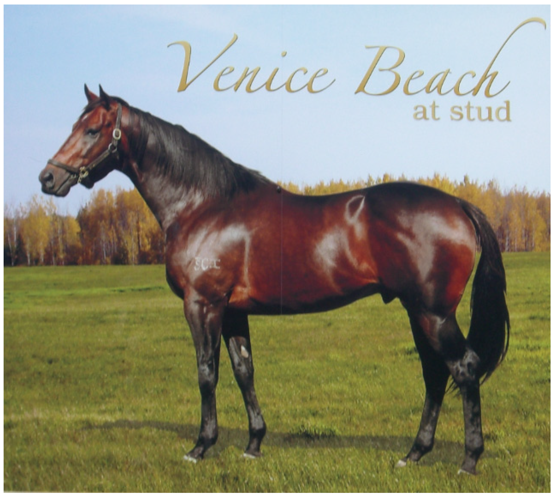 Arts 08 00080 g006 550