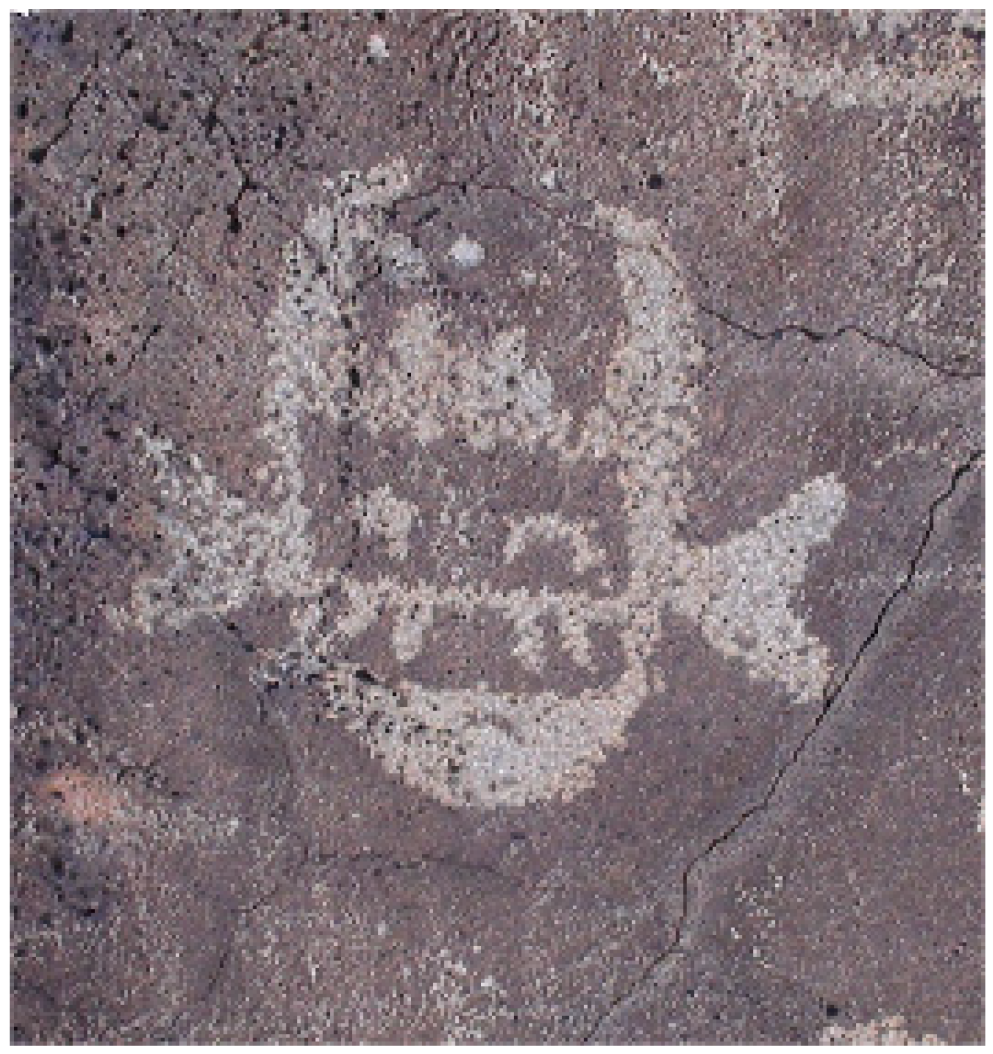 Arts 08 00080 g025 550