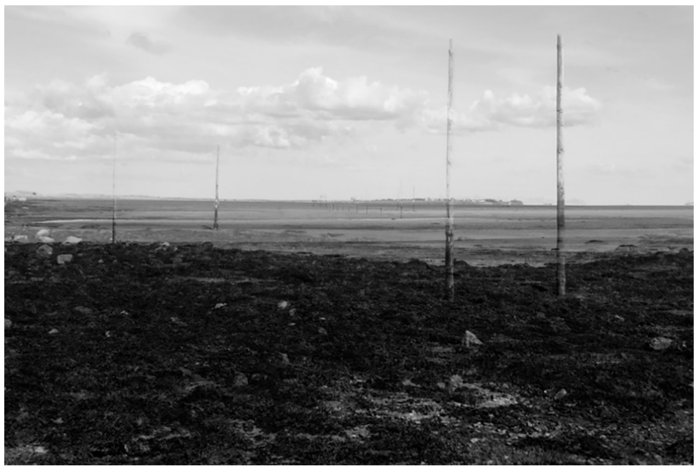 Arts 08 00114 g004 550