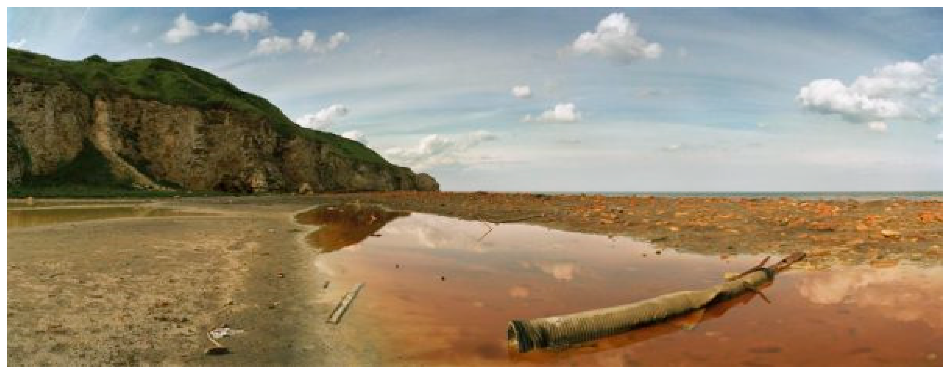 Arts 08 00116 g004 550