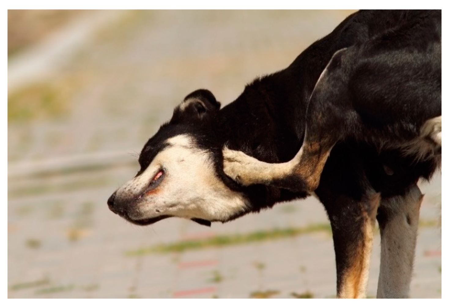 Arts 09 00014 g008 Arts 09 00014 g008