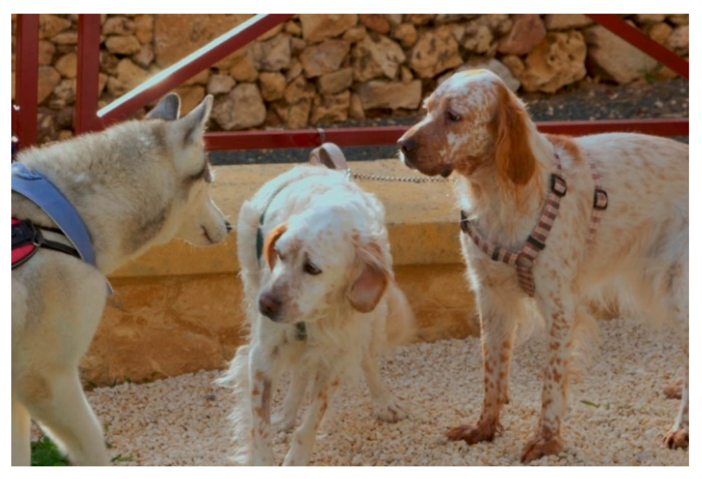 Arts 09 00014 g012 Arts 09 00014 g012