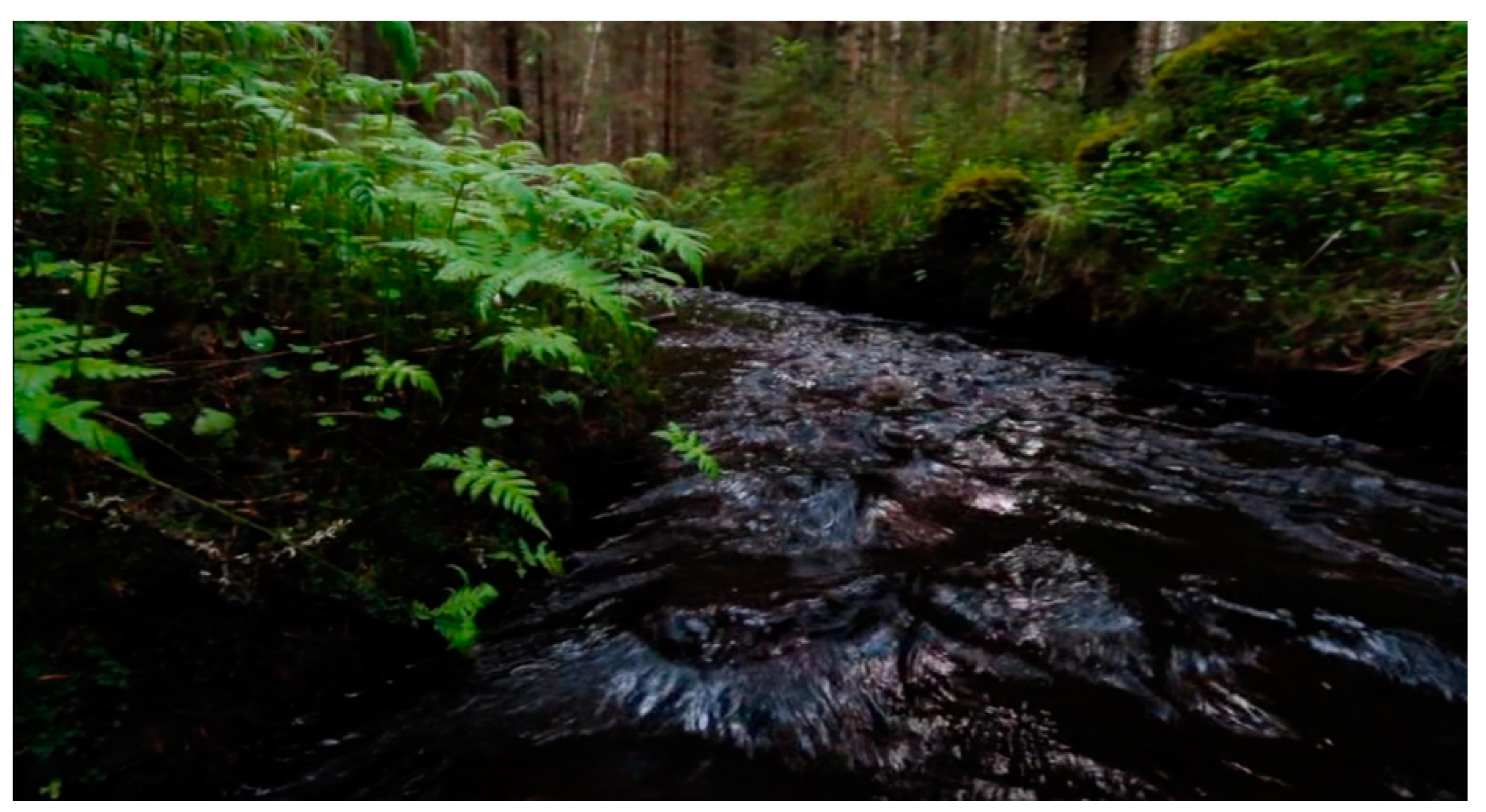 Arts 09 00125 g002 Arts 09 00125 g002