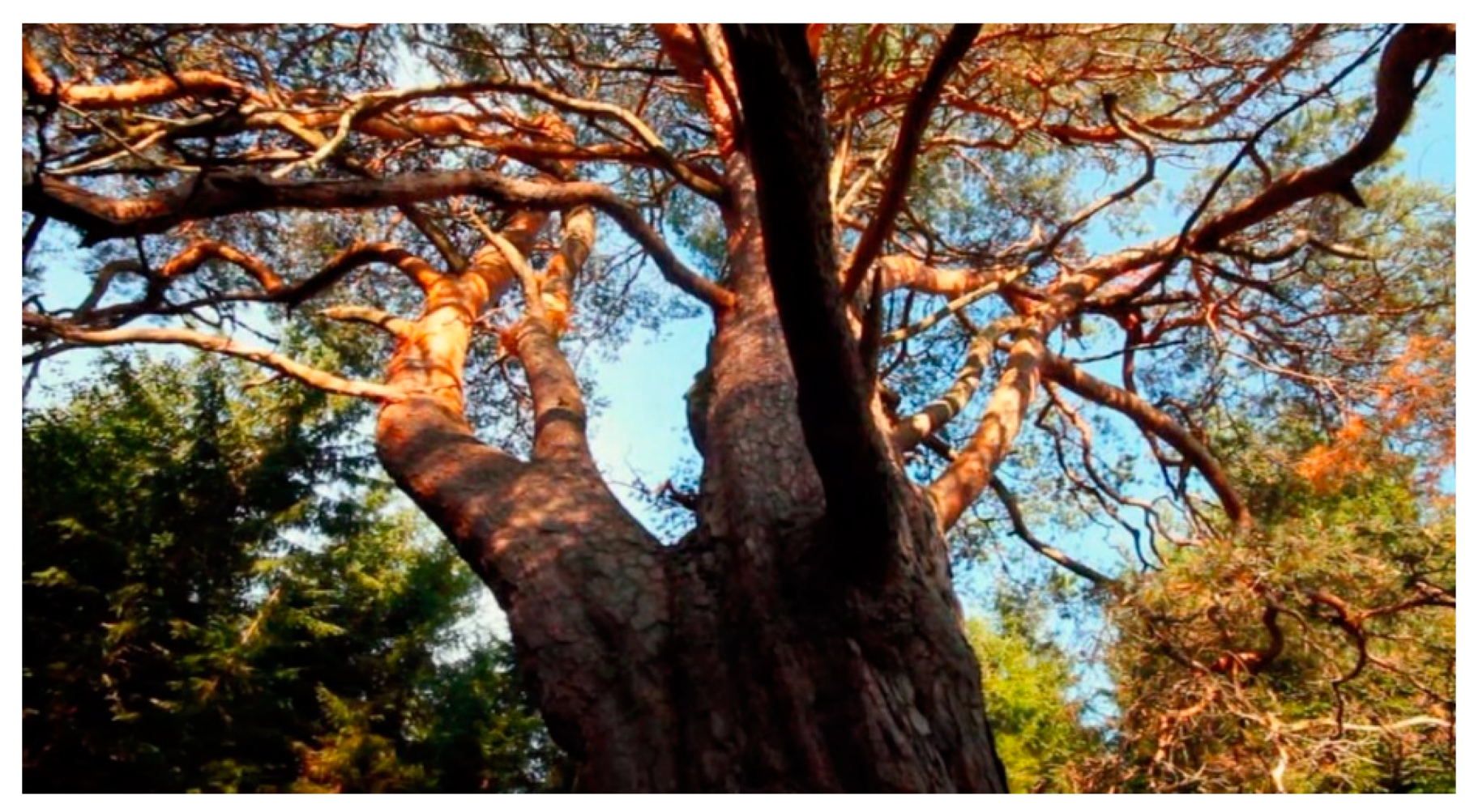 Arts 09 00125 g003 Arts 09 00125 g003