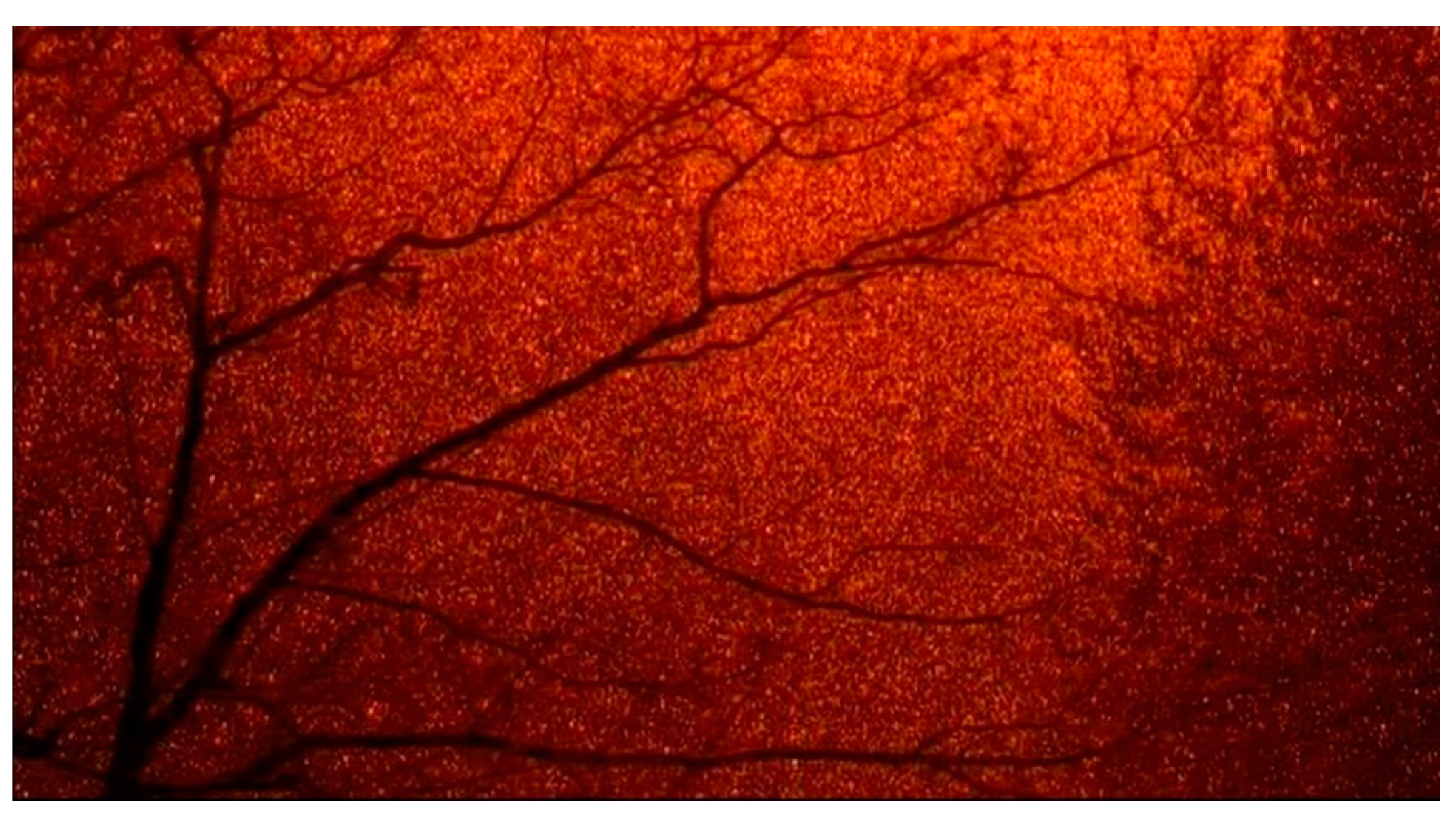 Arts 09 00125 g004 Arts 09 00125 g004