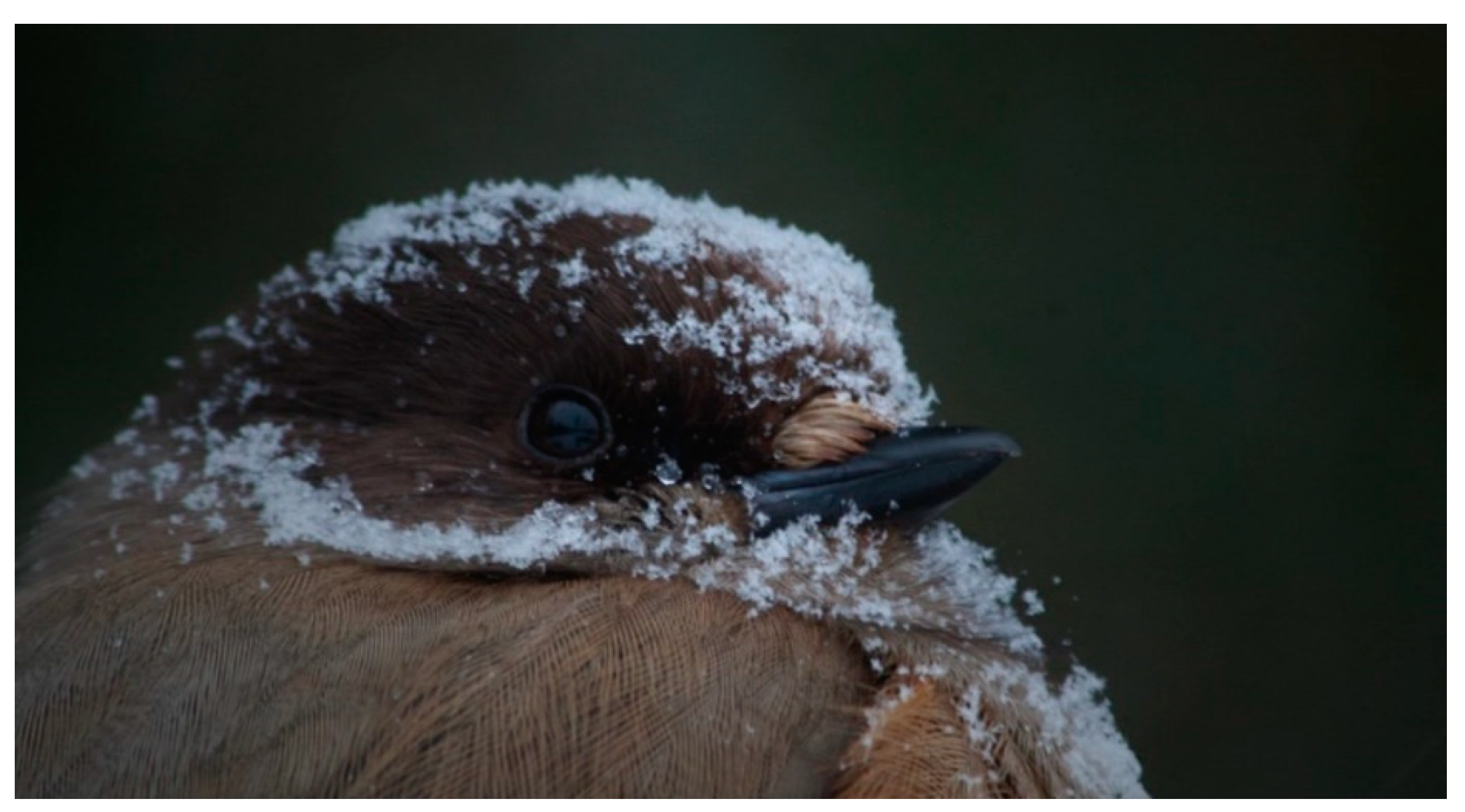 Arts 09 00125 g005 Arts 09 00125 g005