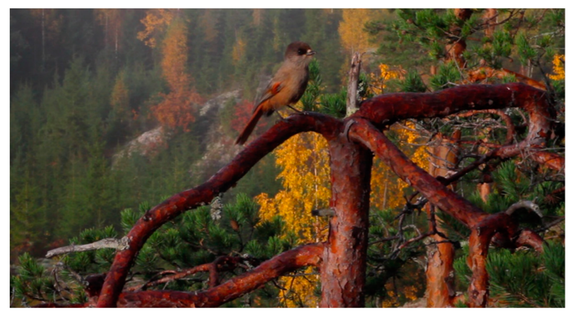 Arts 09 00125 g007 Arts 09 00125 g007