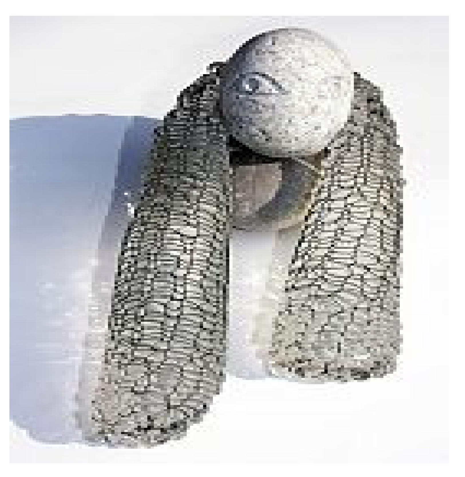 Arts 10 00005 g007 550