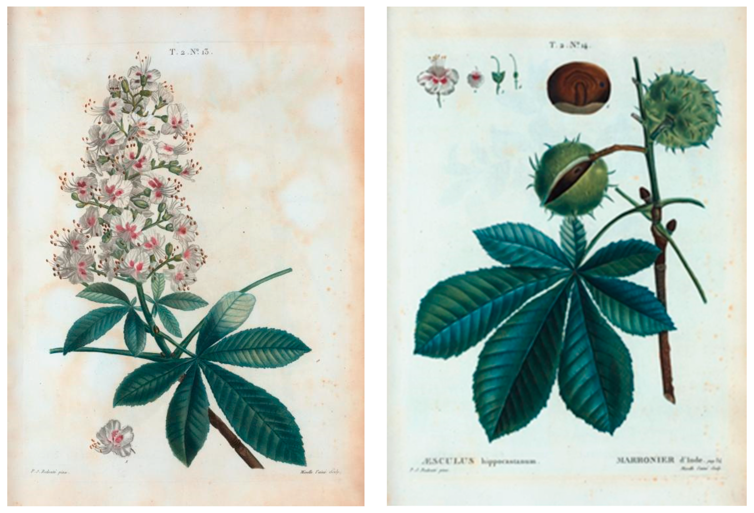 Arts 10 00066 g014 550