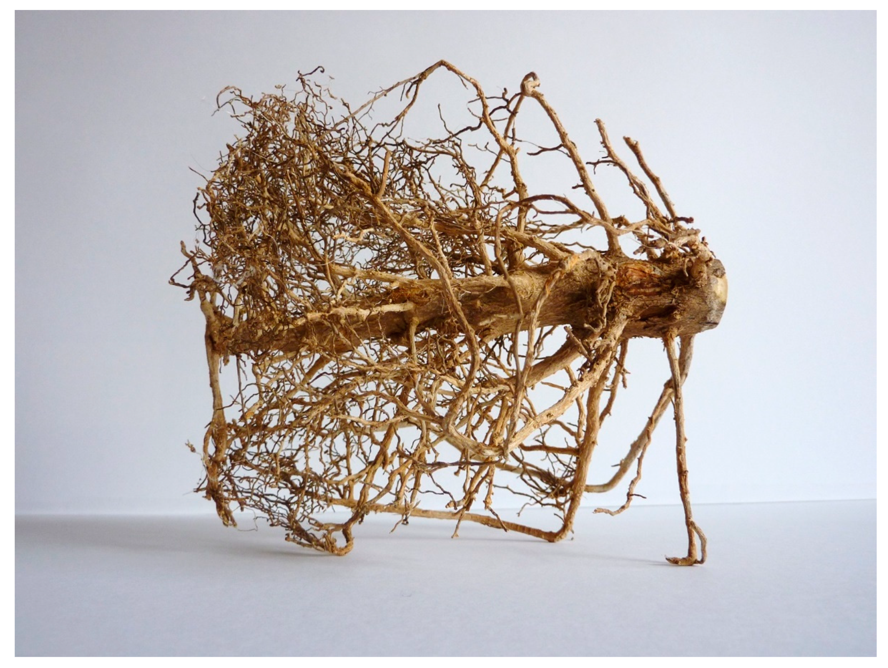 Arts 10 00081 g004 550