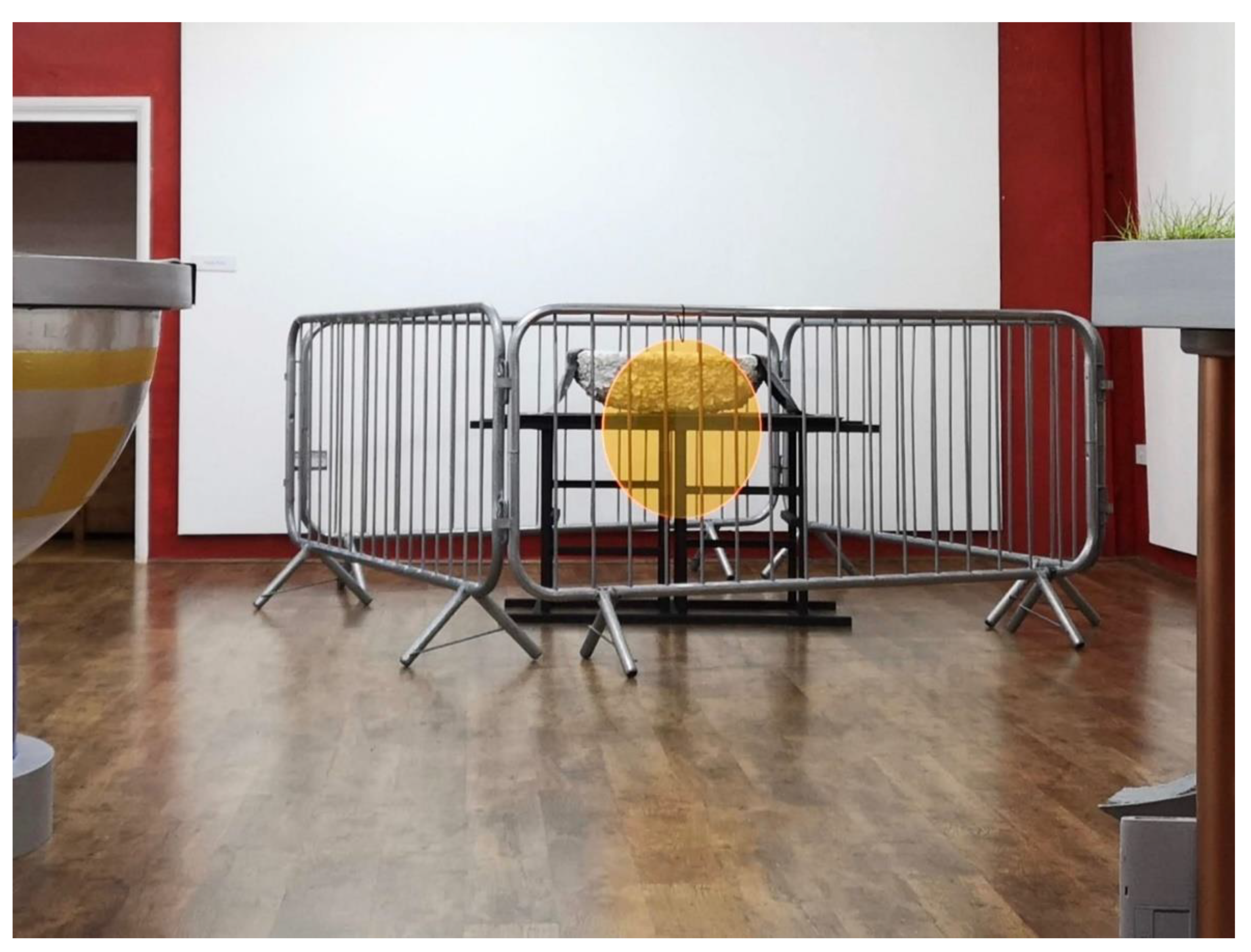 Arts 11 00007 g005 550