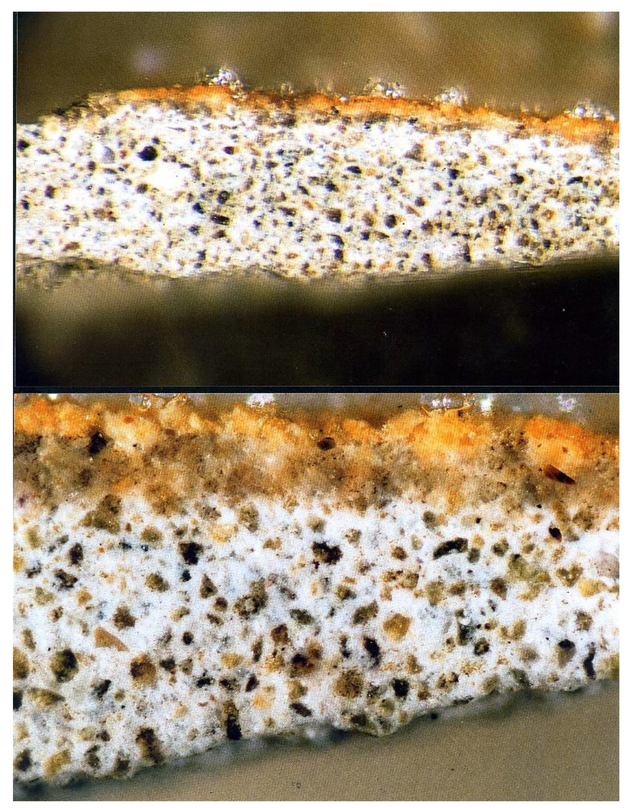 Arts 11 00017 g015 550