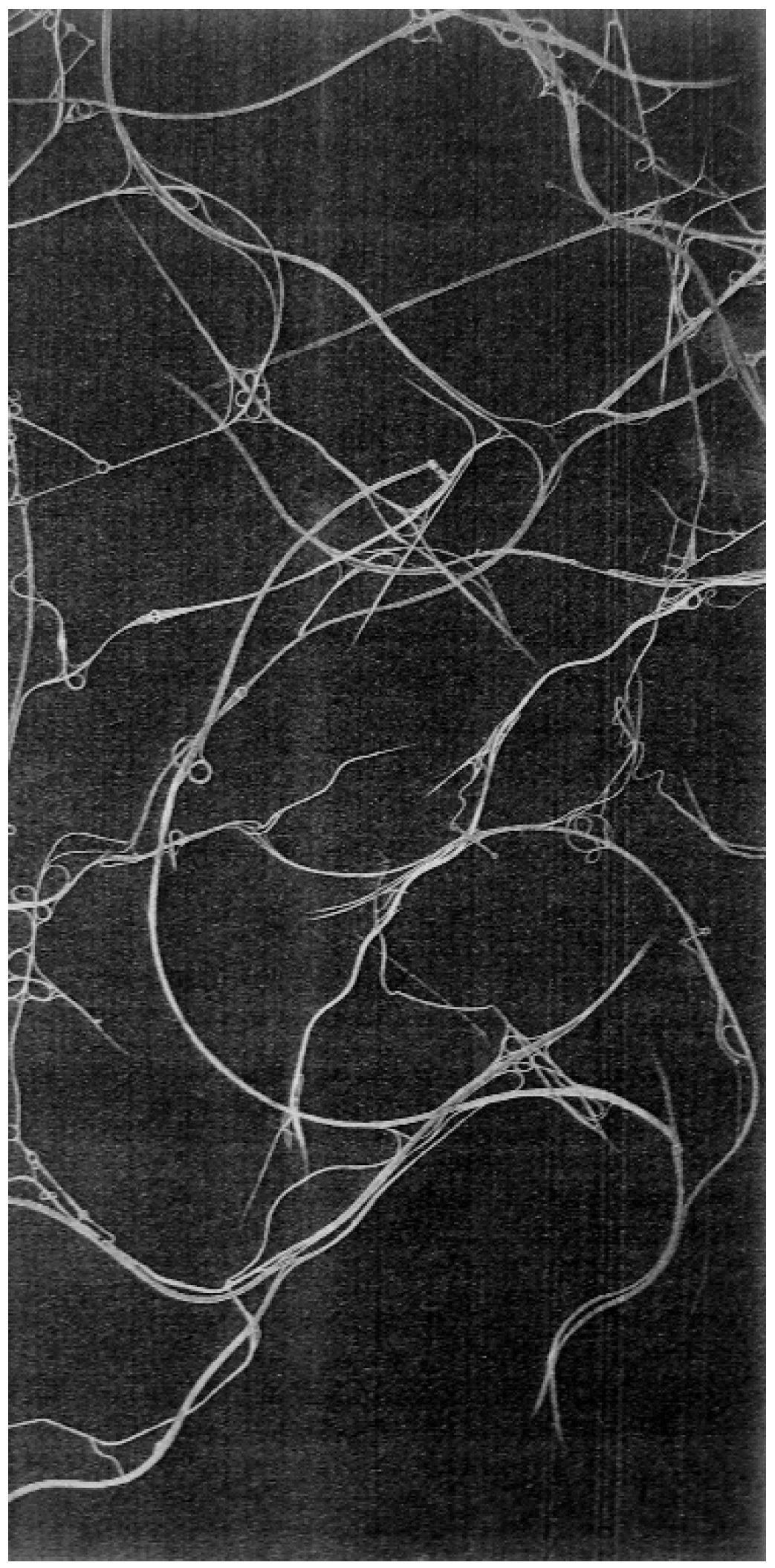 Arts 11 00035 g003 550