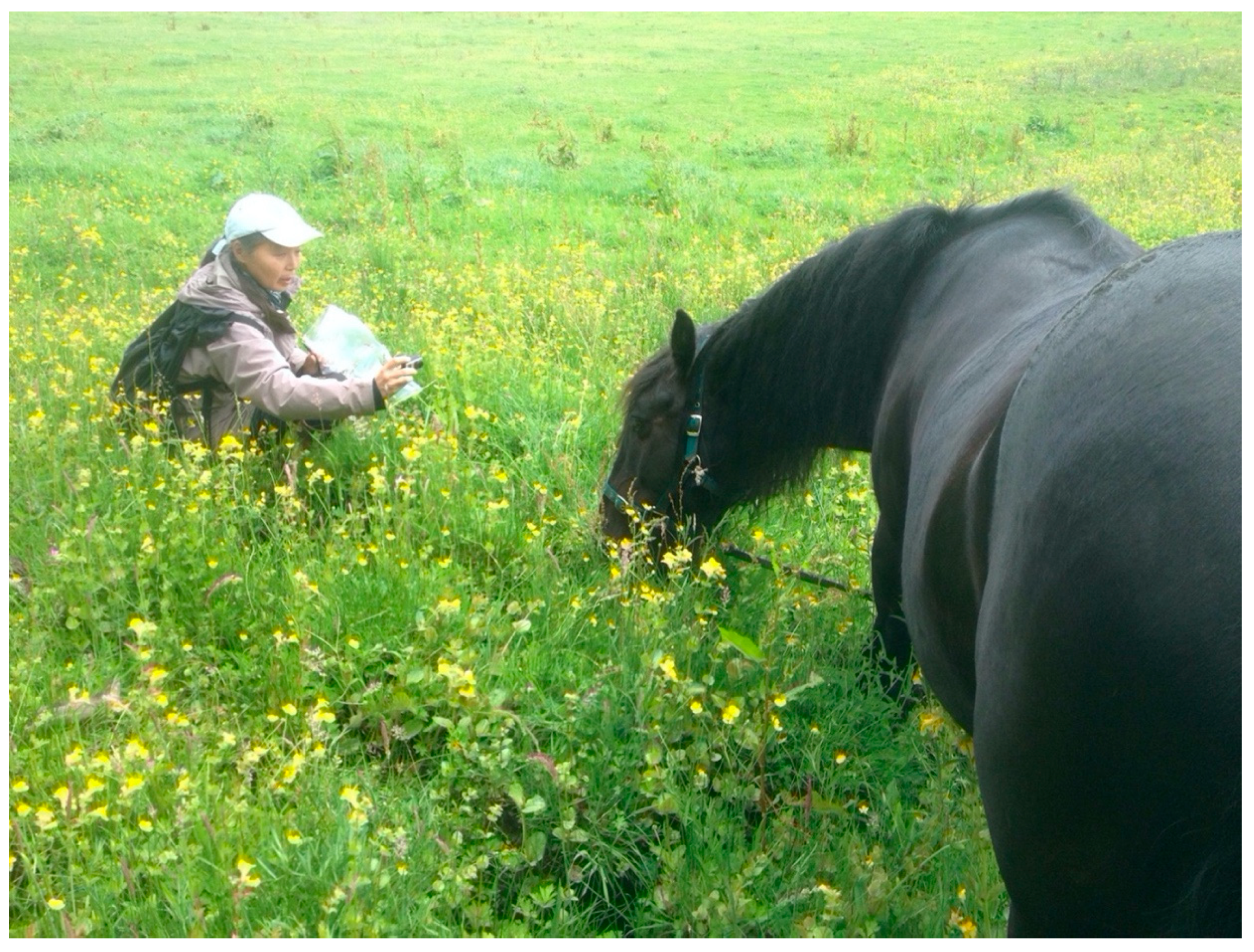 Arts 11 00046 g004 550