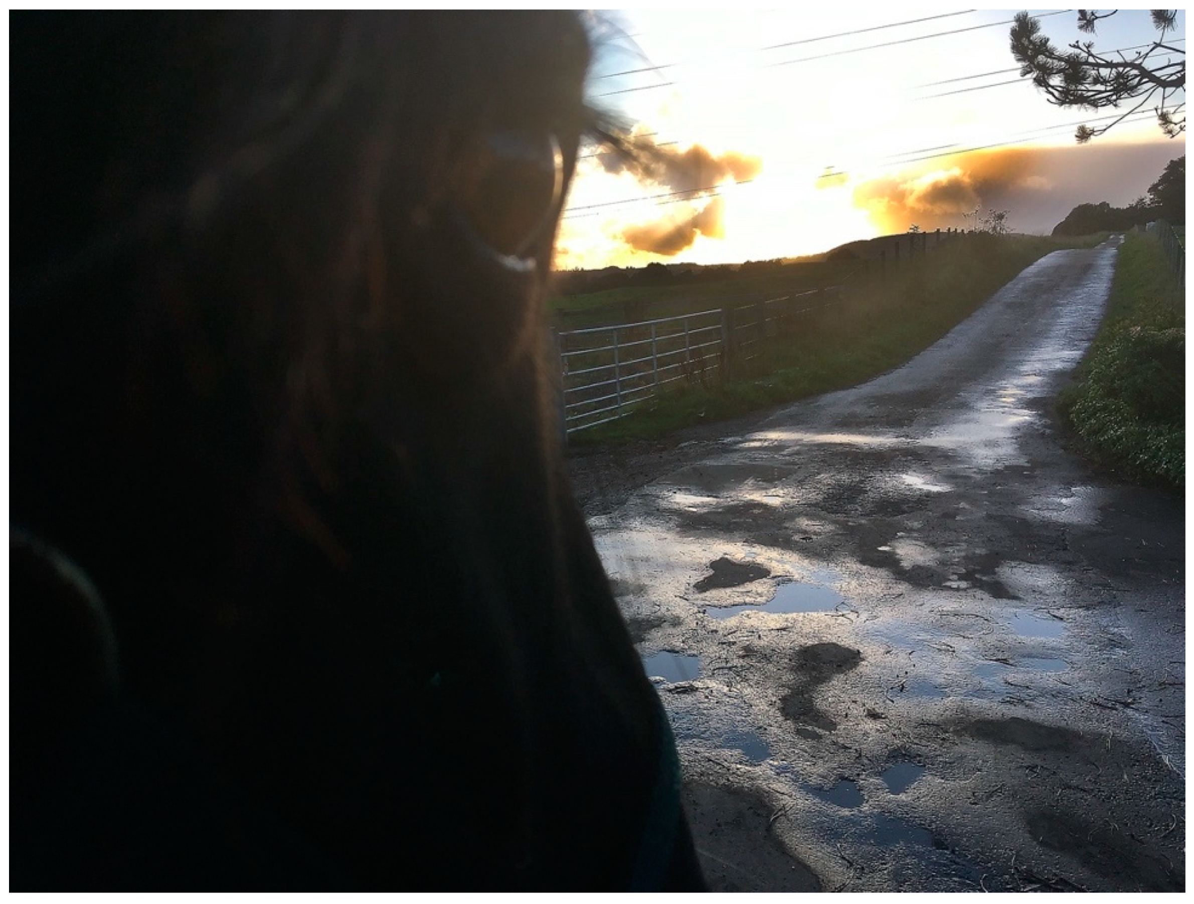 Arts 11 00046 g008 550