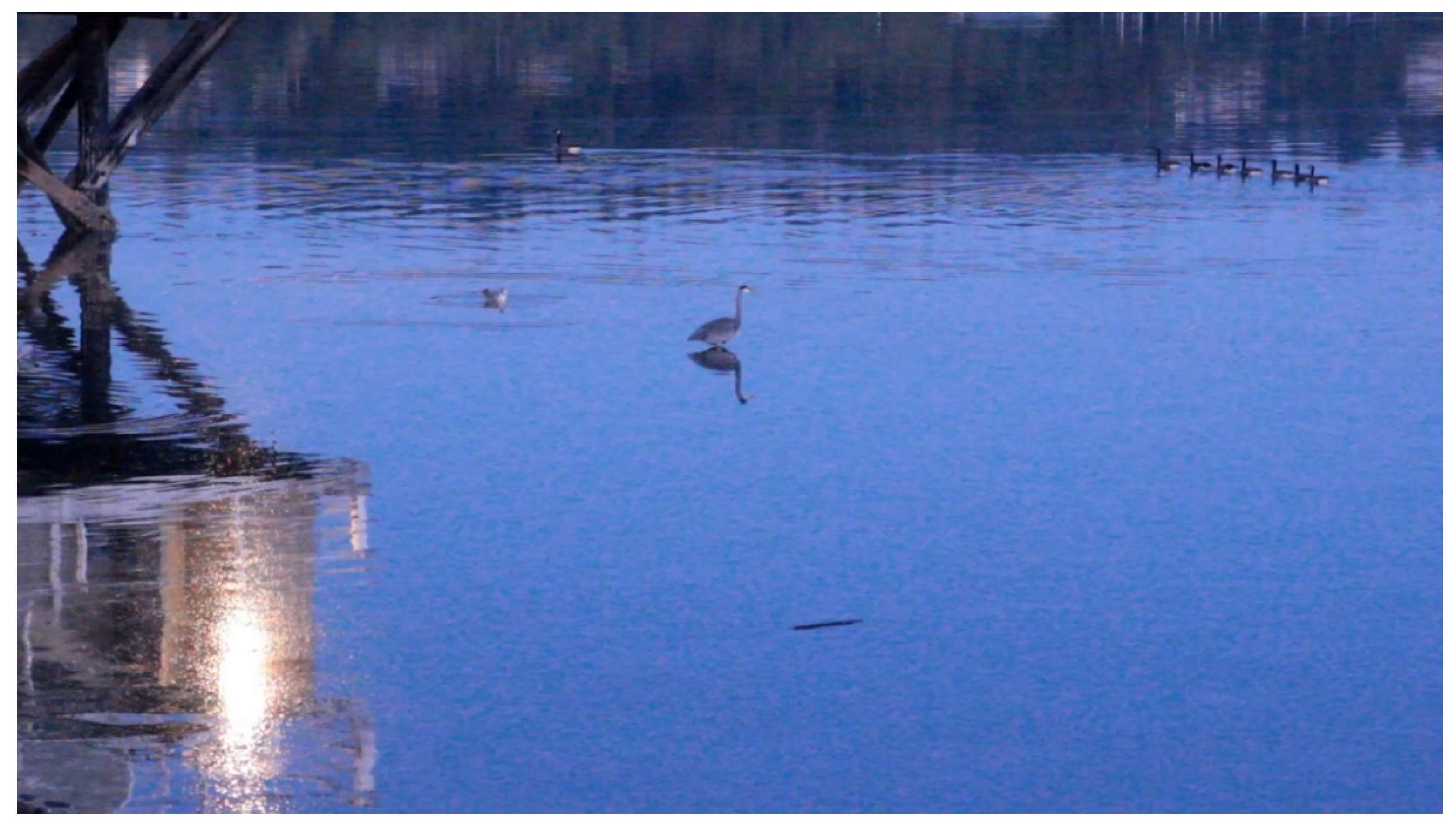 Arts 11 00122 g002 550