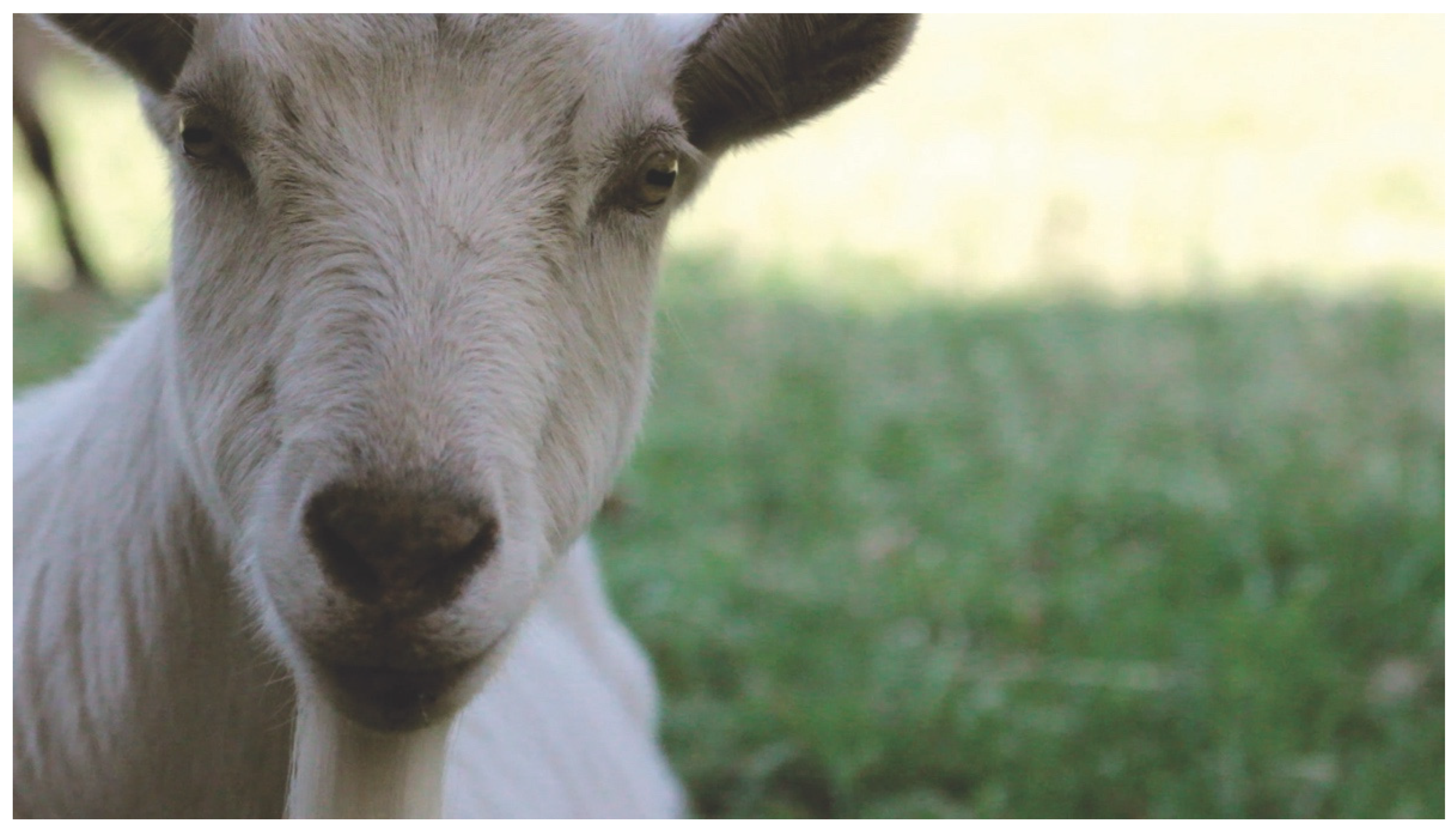 Arts 11 00122 g005 550