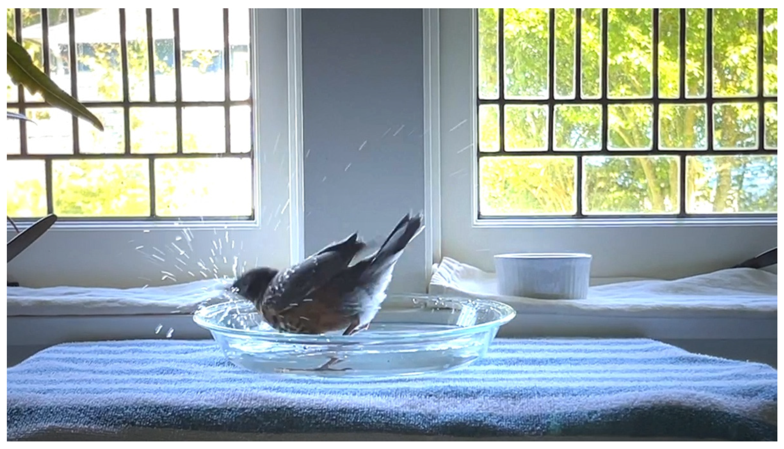 Arts 11 00122 g007 550