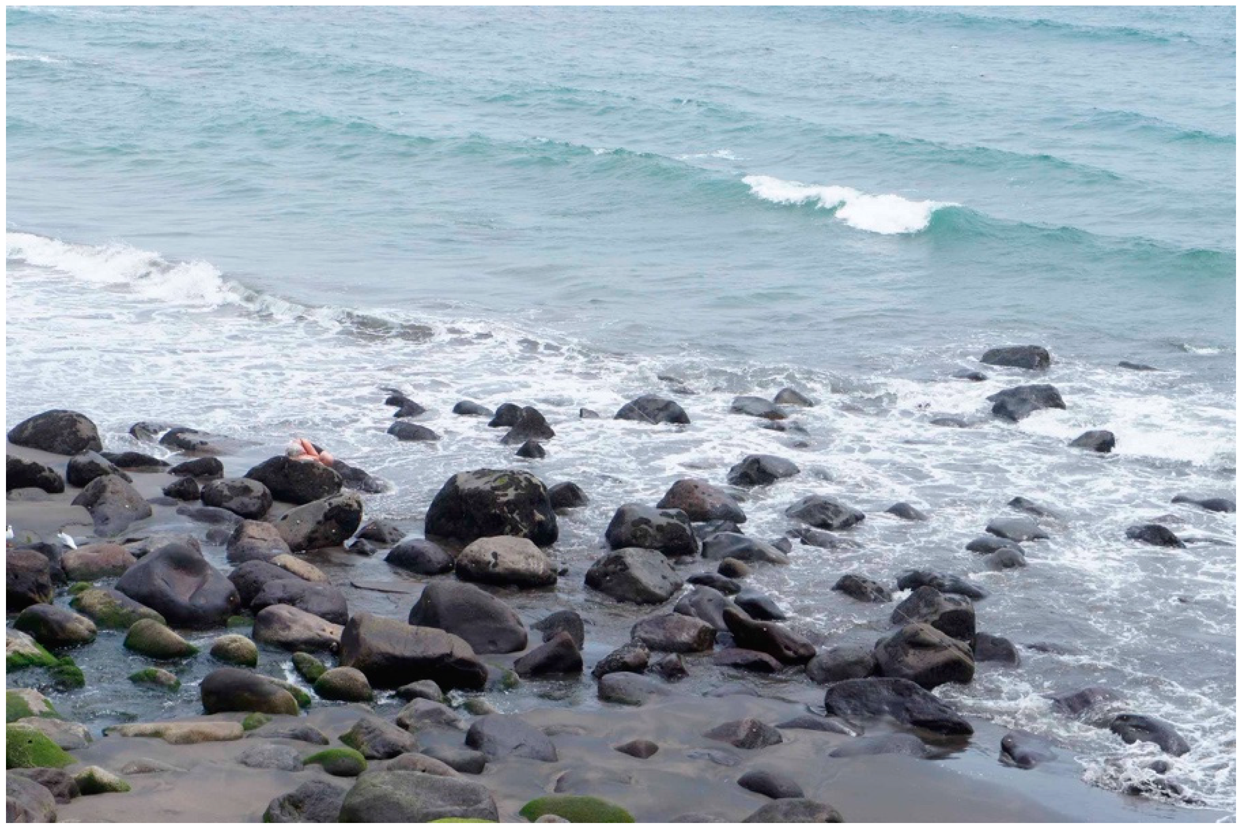 Arts 11 00124 g005 550