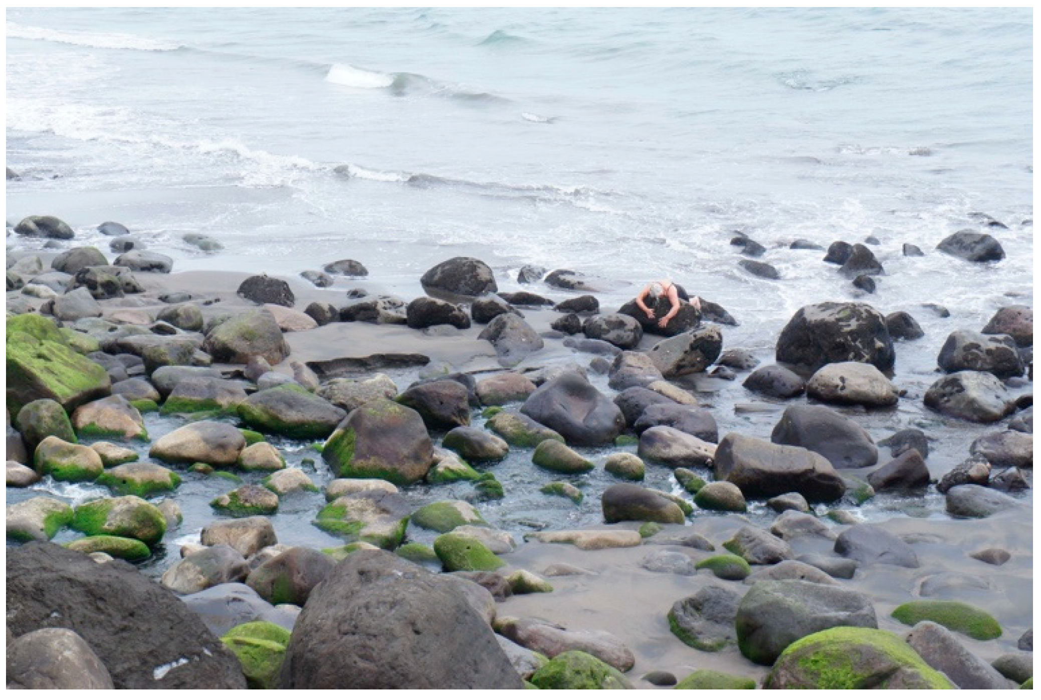 Arts 11 00124 g006 550