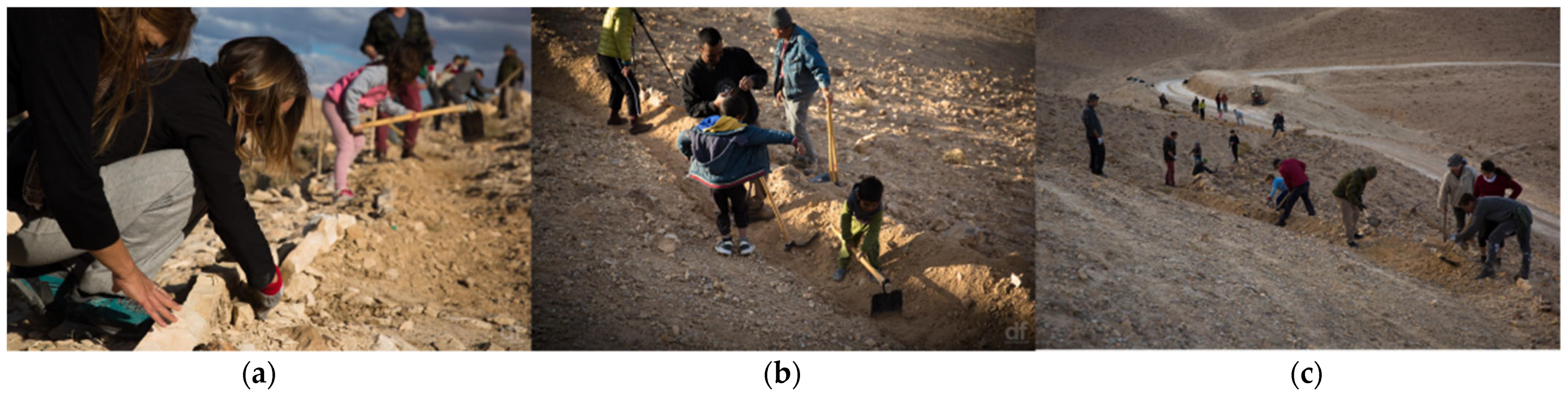 Arts 11 00128 g008 550